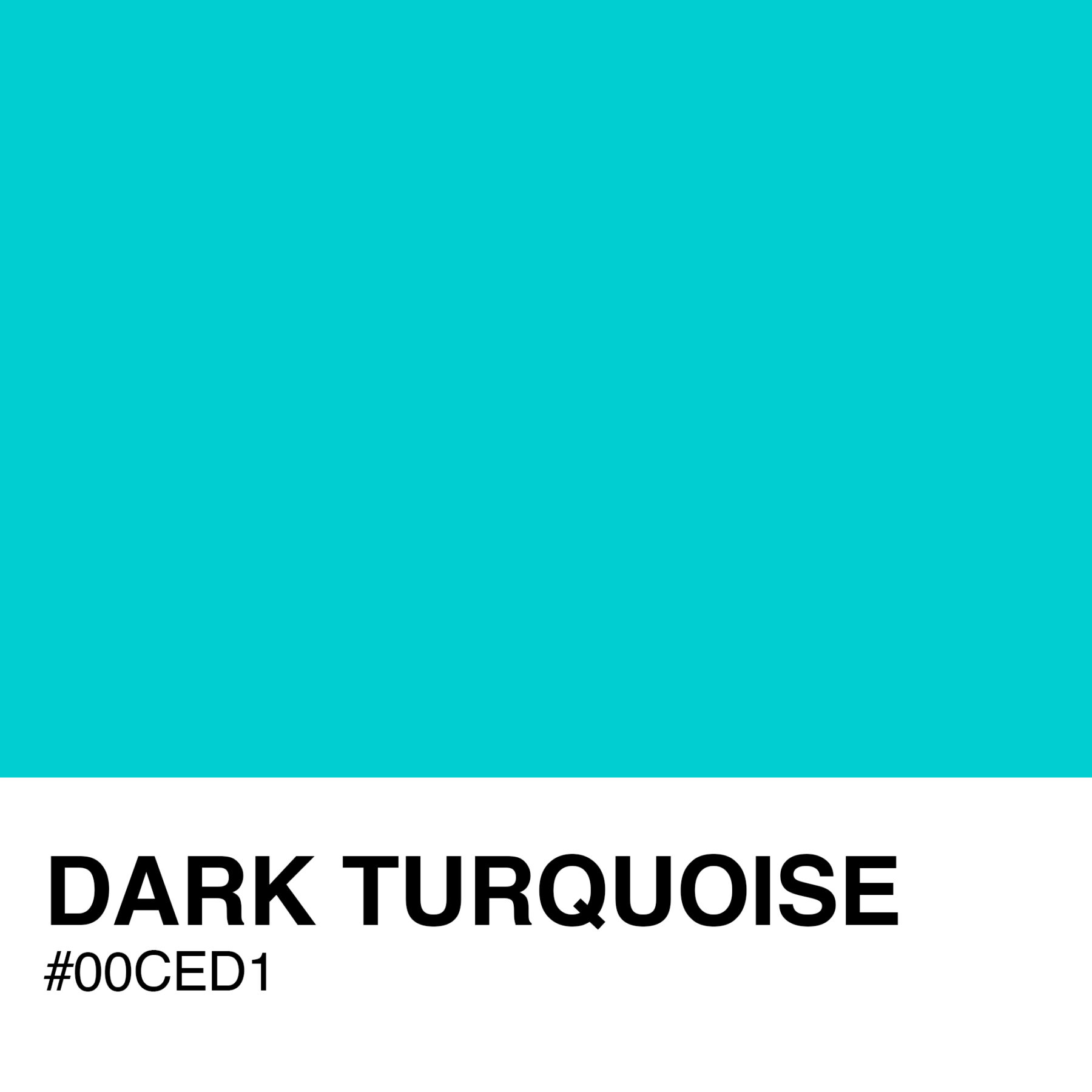 00CED1-DARK-TURQUOISE