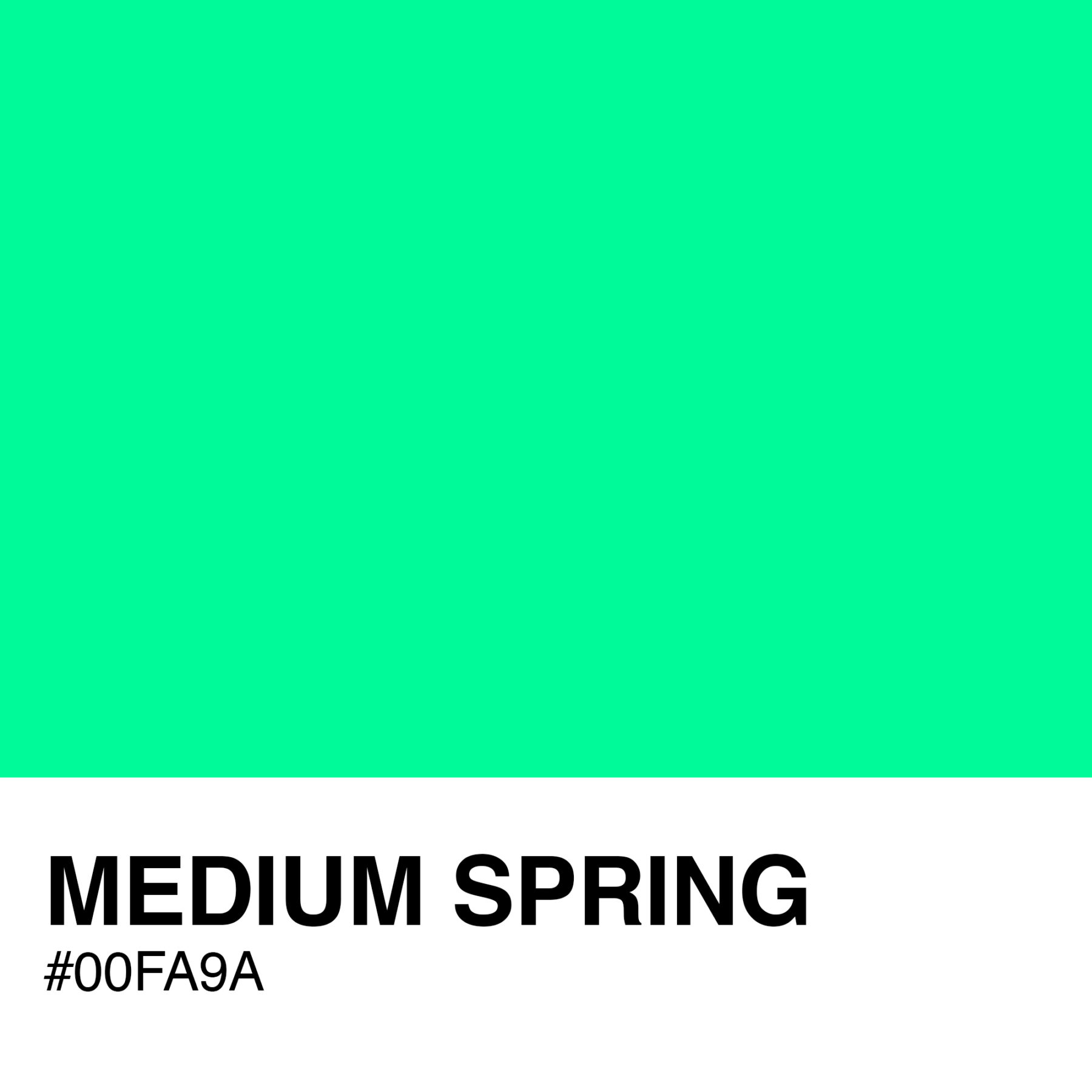 00FA9A-MEDIUM-SPRING-GREEN