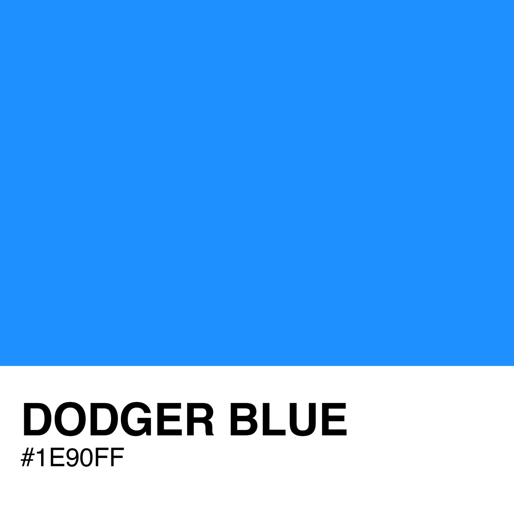 1E90FF-DODGER-BLUE