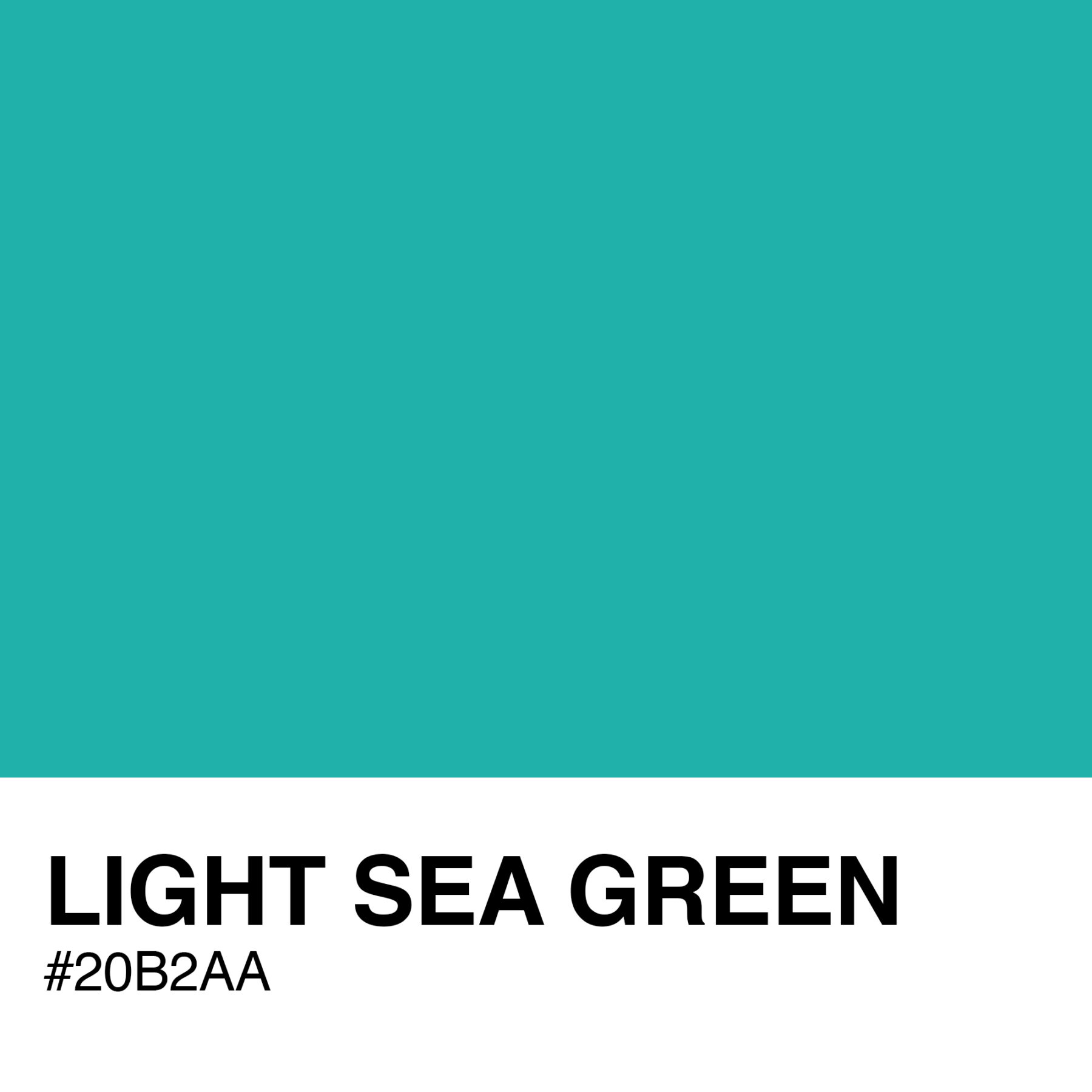 20B2AA-LIGHT-SEA-GREEN