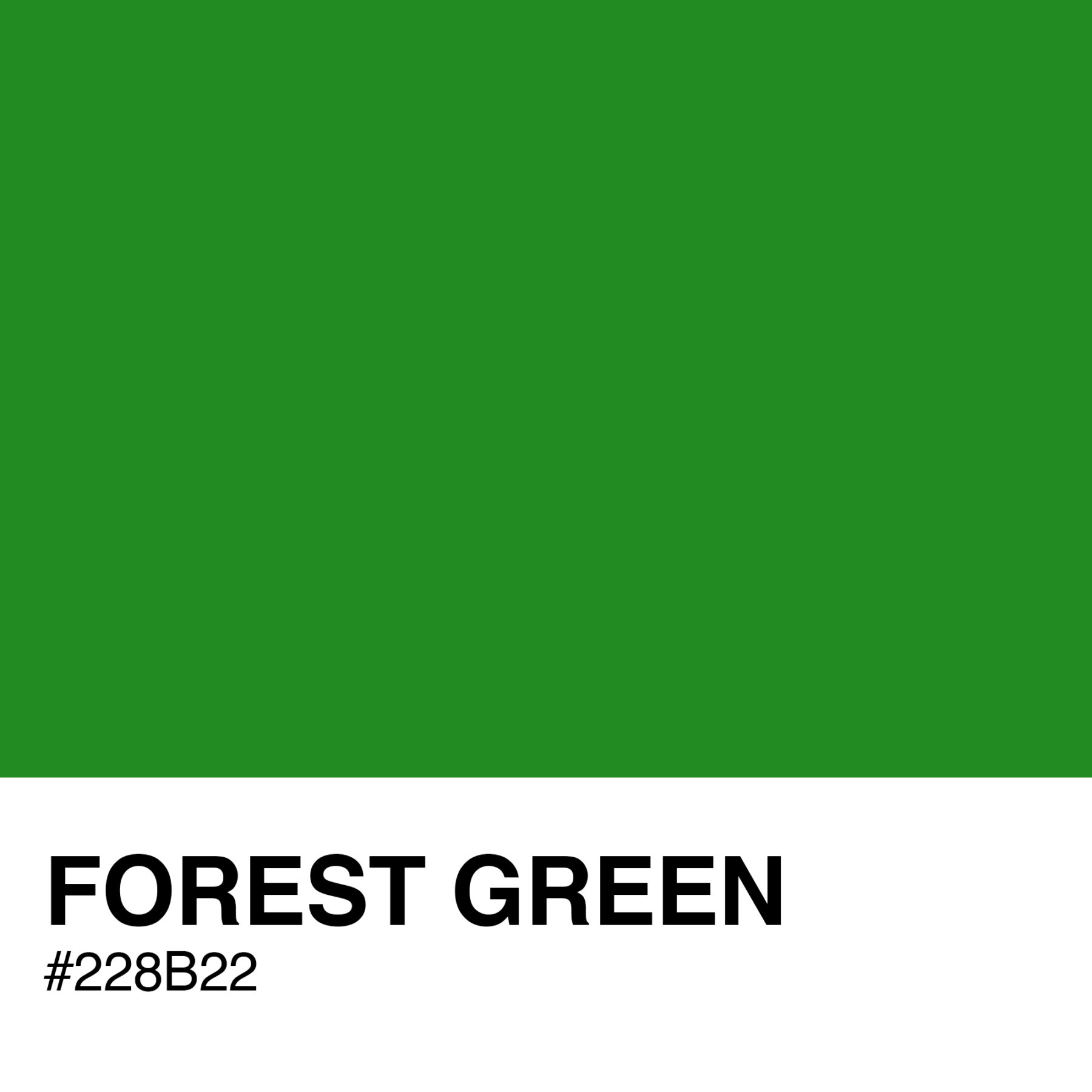 228B22-FOREST-GREEN