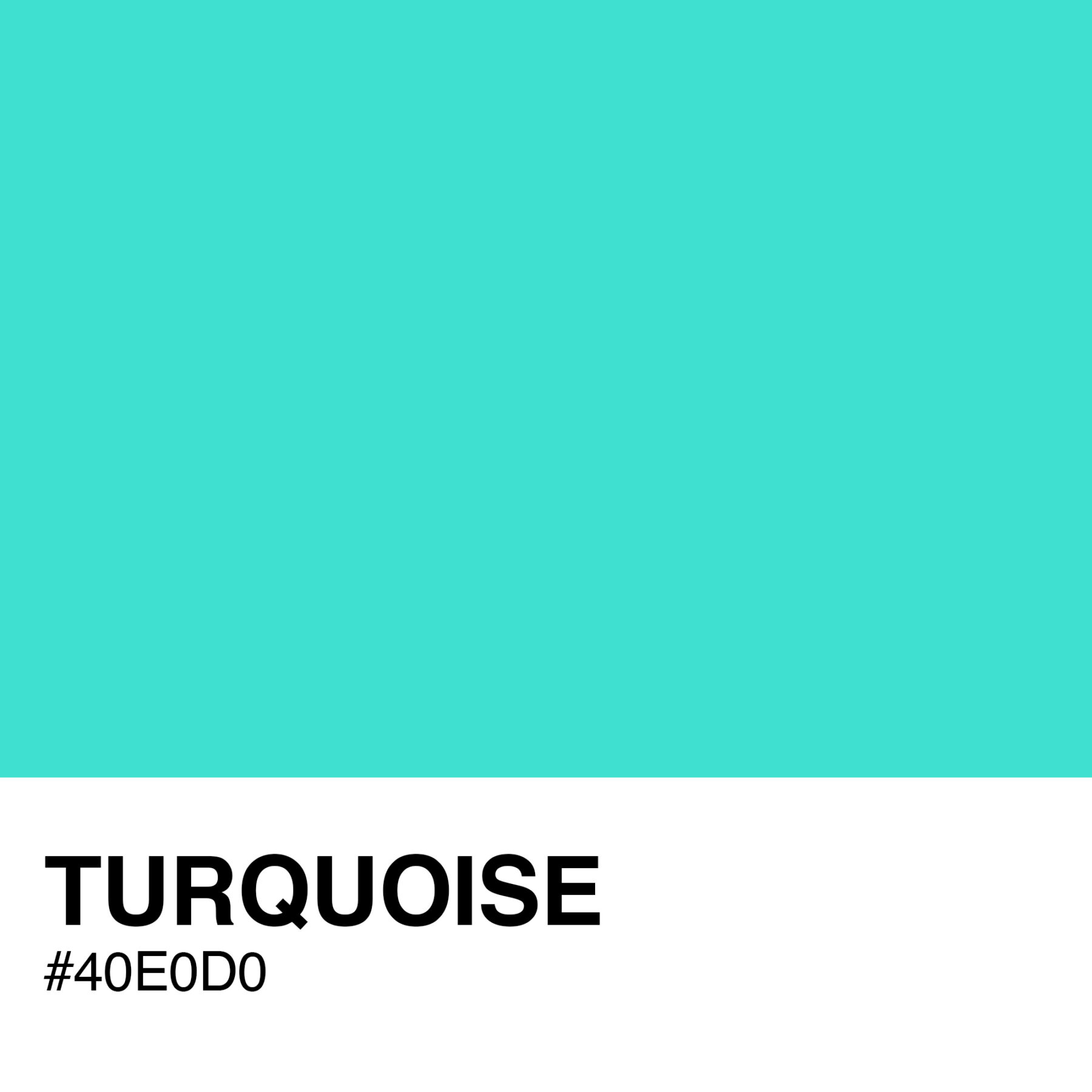 40E0D0-TURQUOISE