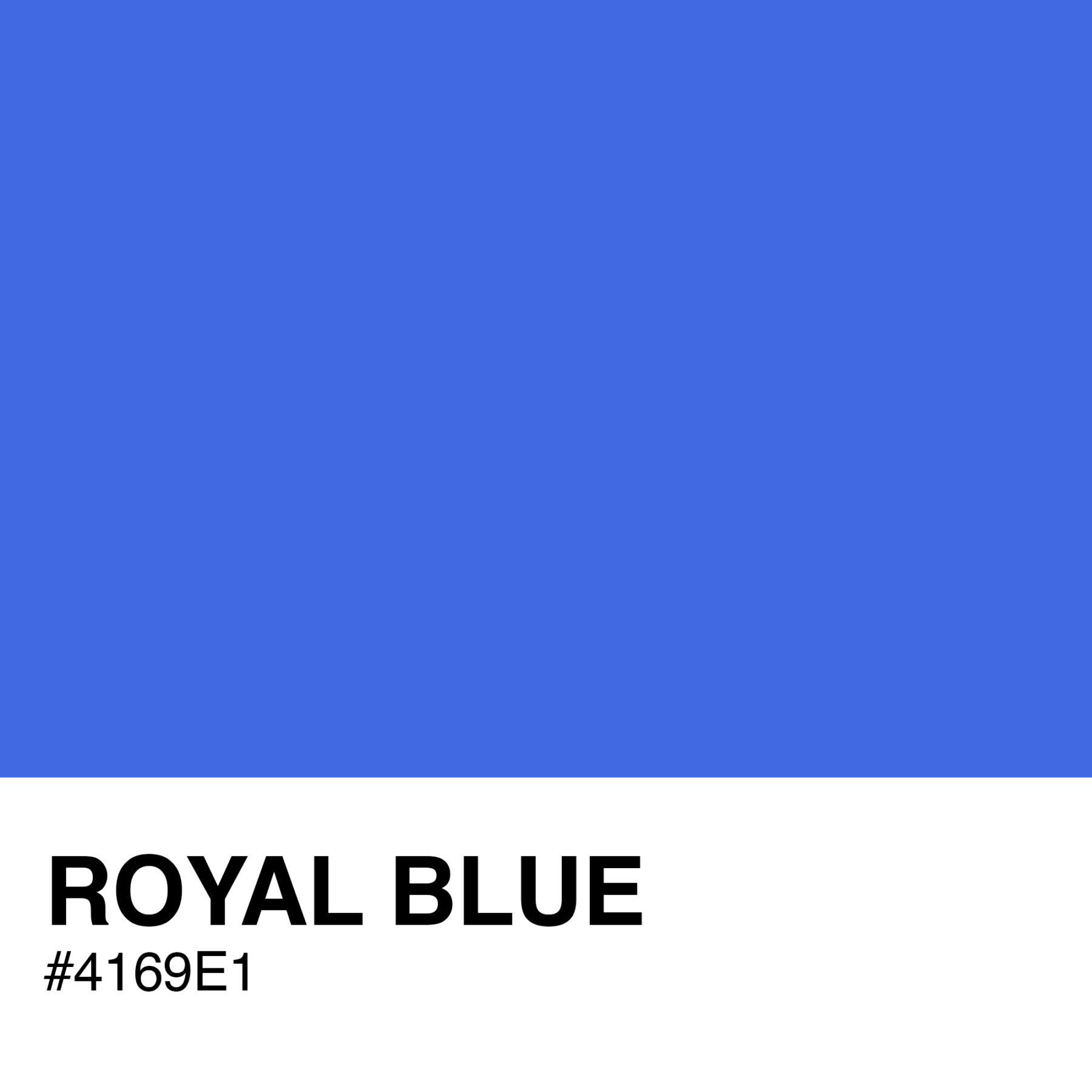 4169E1-ROYAL-BLUE