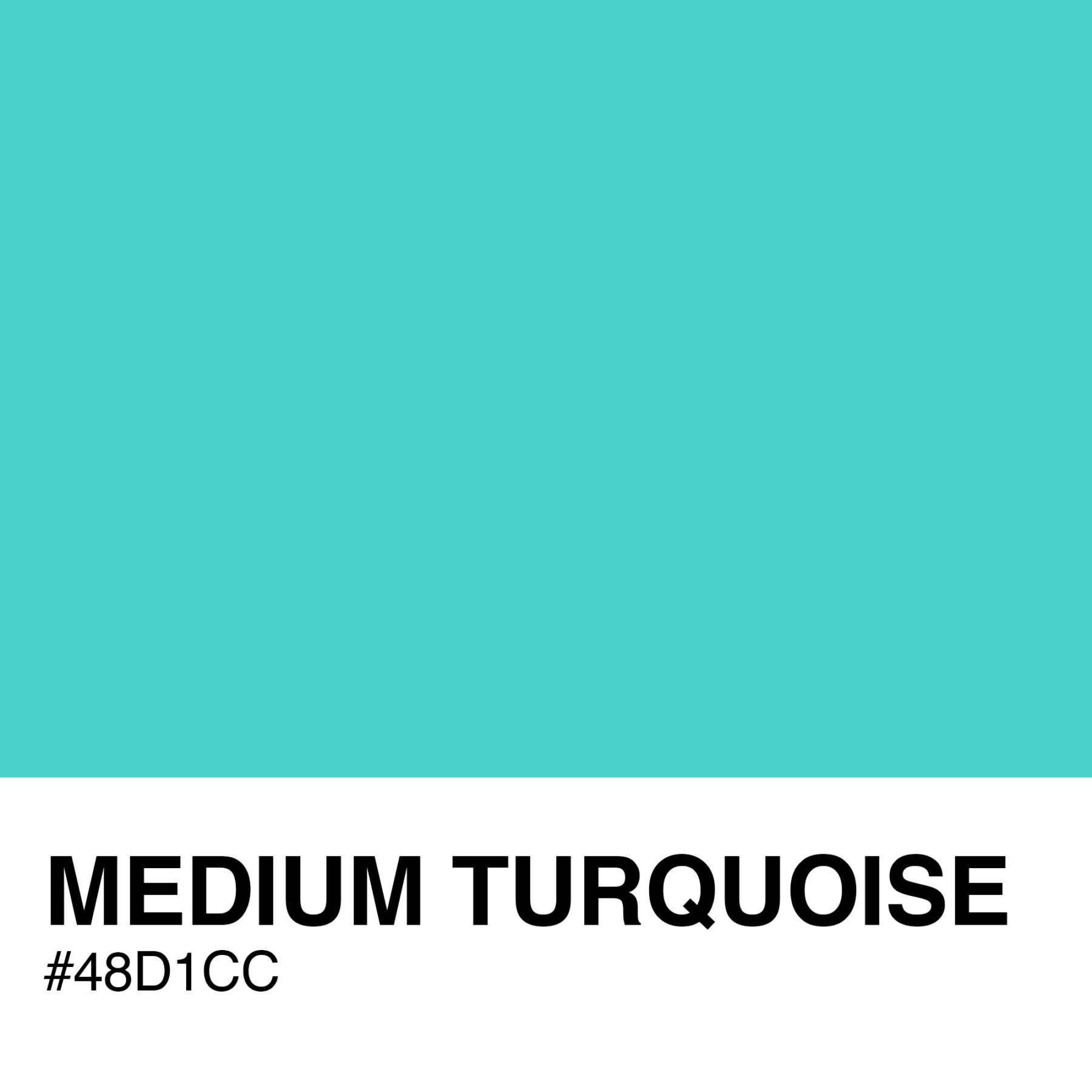 48D1CC-MEDIUM-TURQUOISE