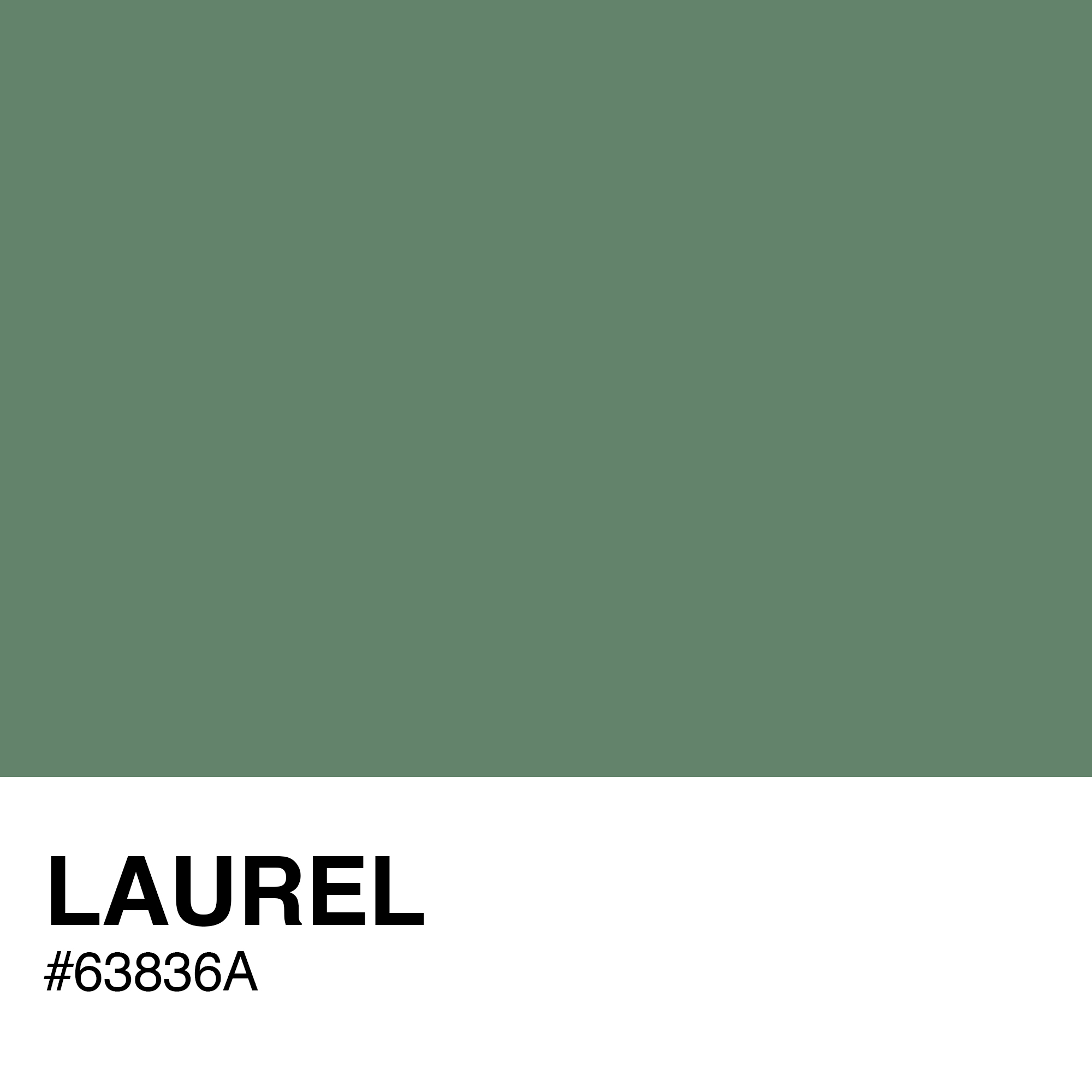 63836A-LAUREL