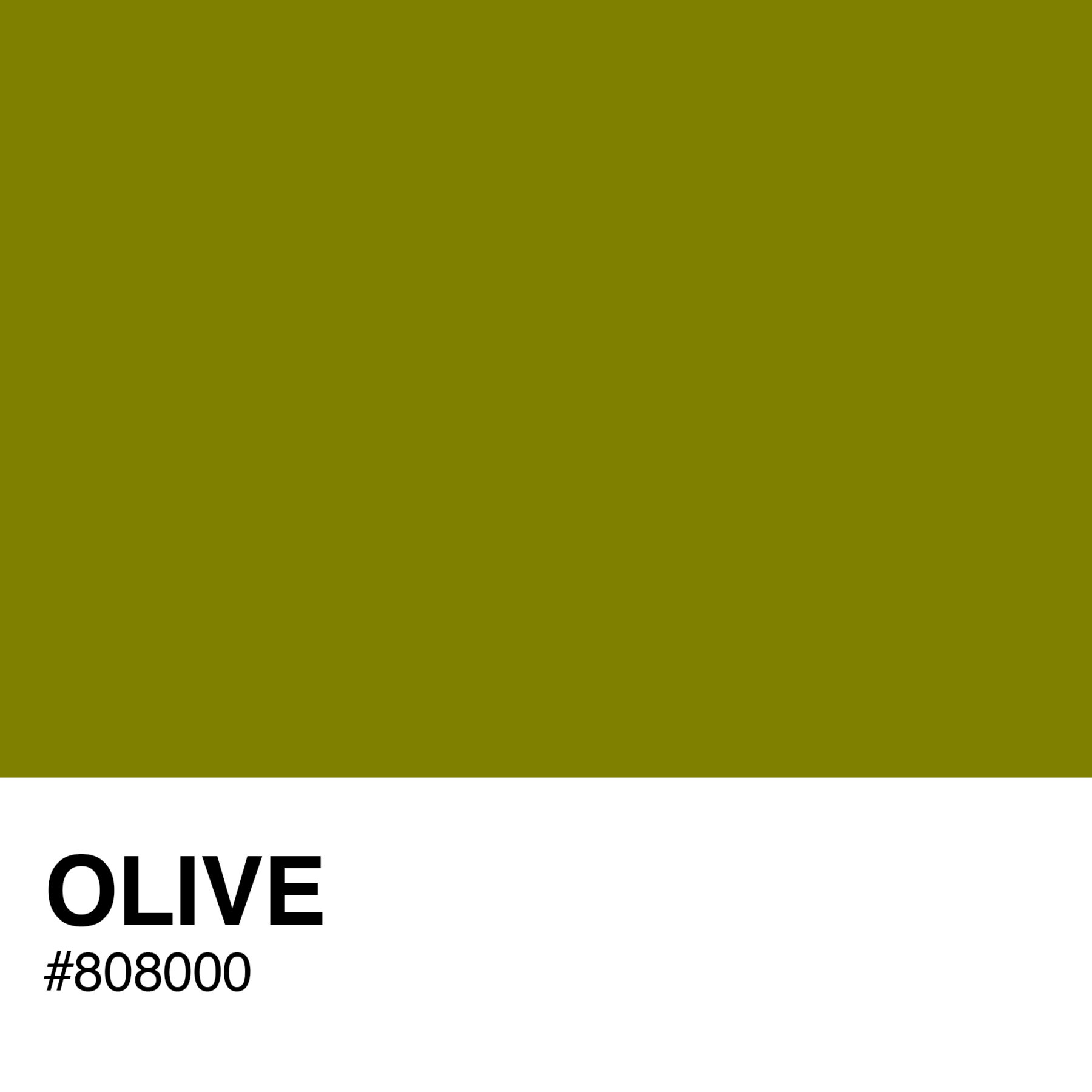 808000-OLIVE