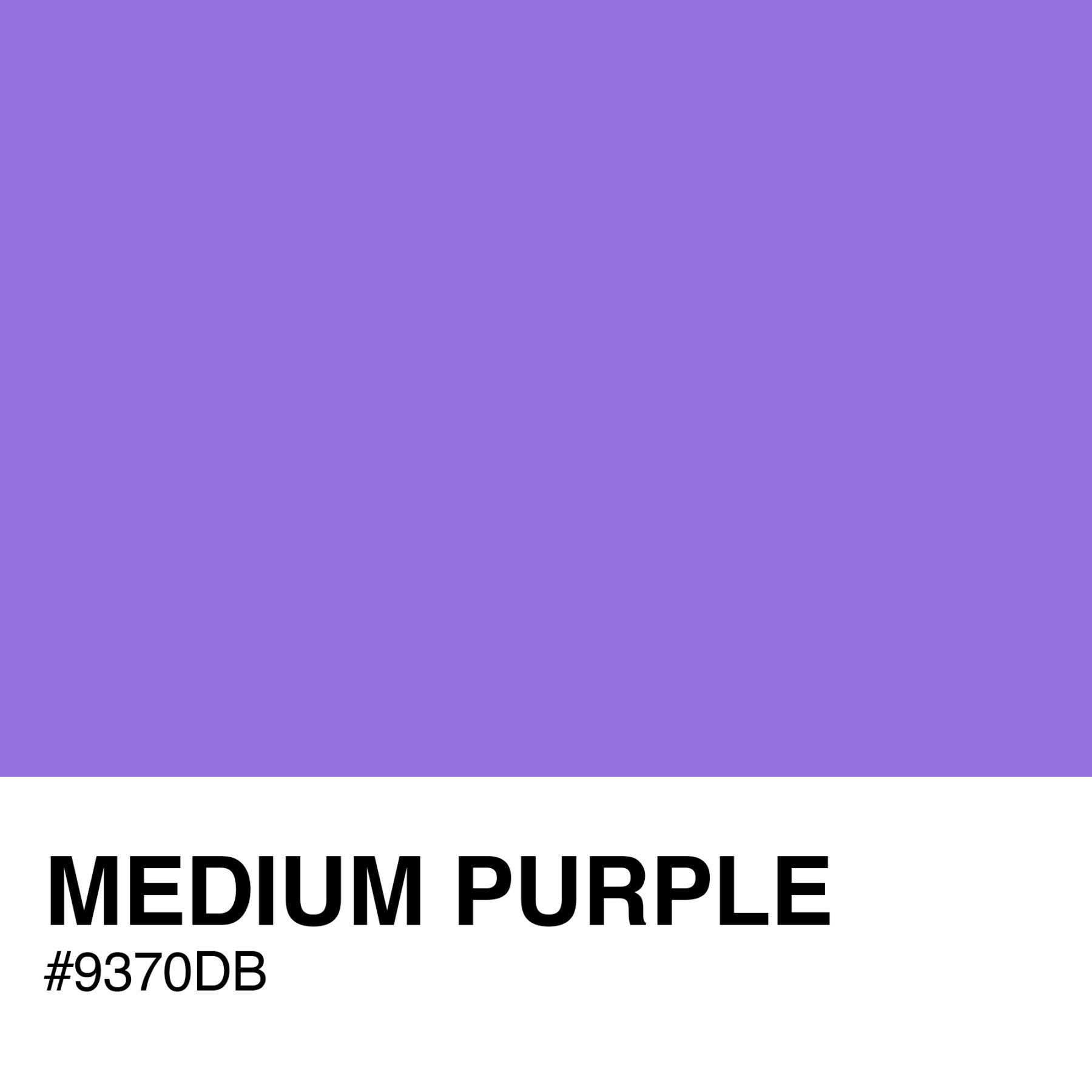 9370DB-MEDIUM-PURPLE