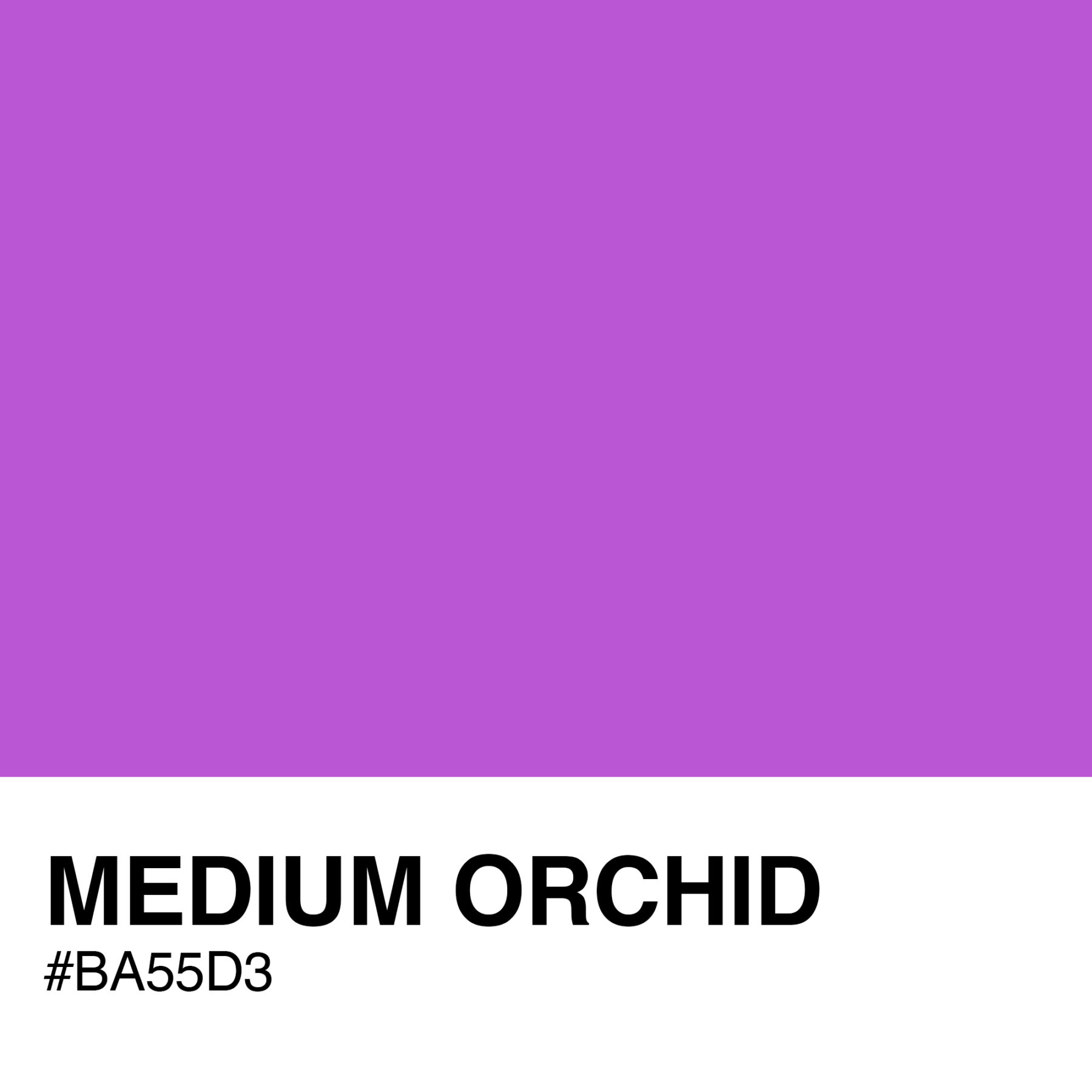 BA55D3-MEDIUM-ORCHID