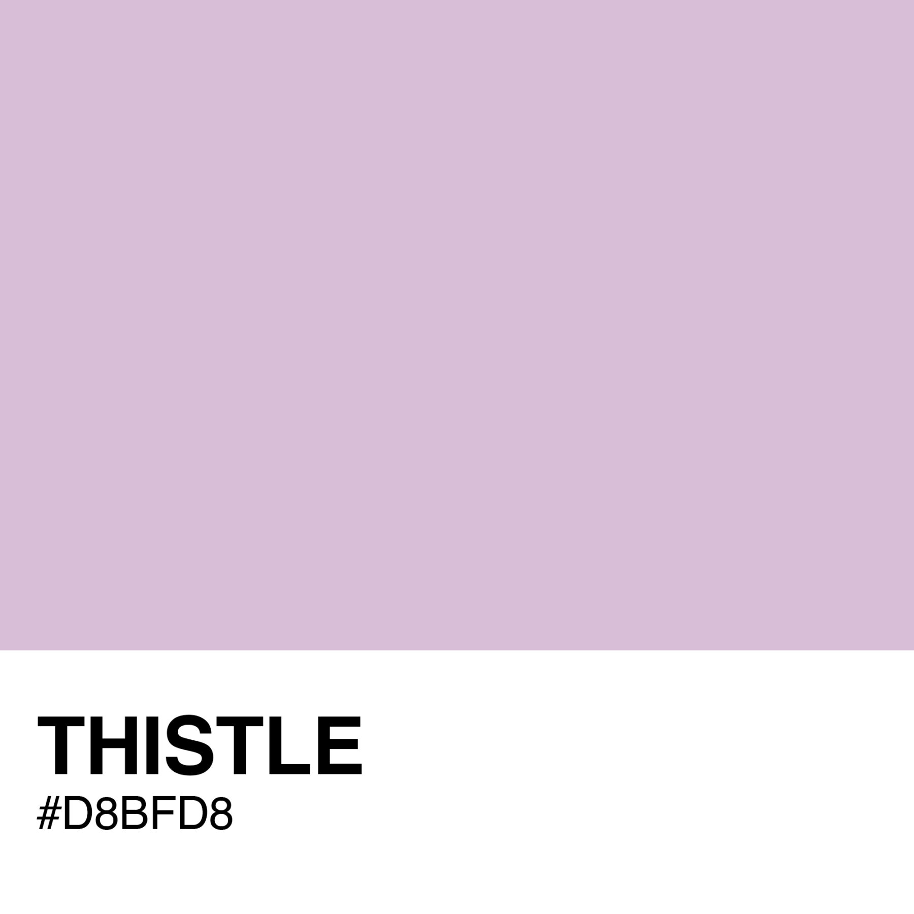 D8BFD8-THISTLE