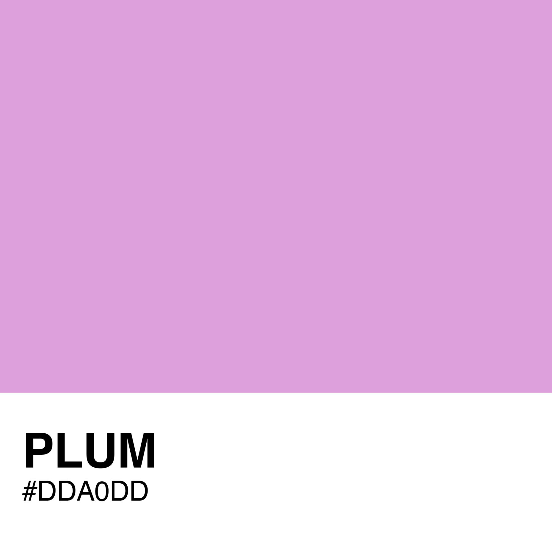 DDA0DD-PLUM