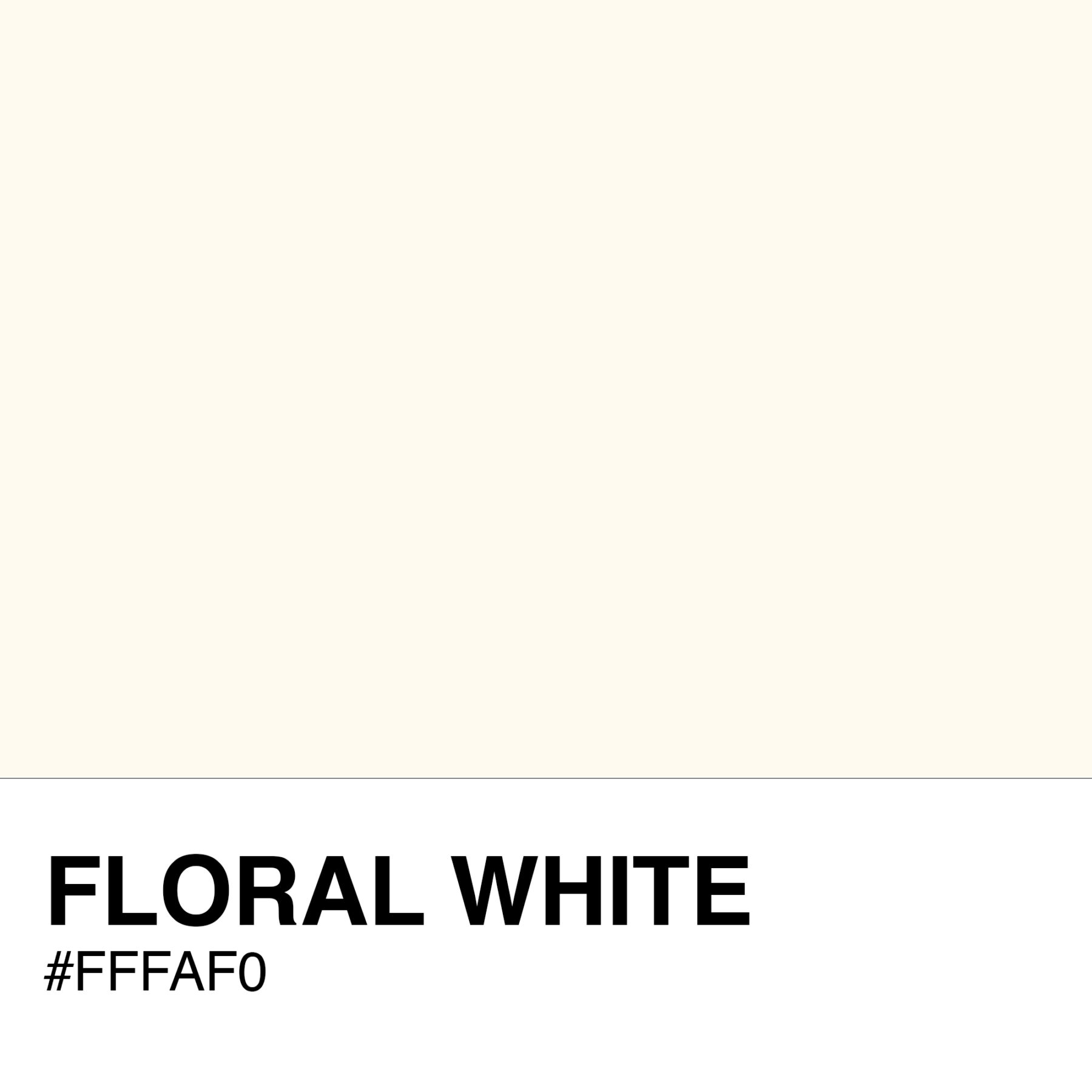 FFFAF0-FLORAL-WHITE