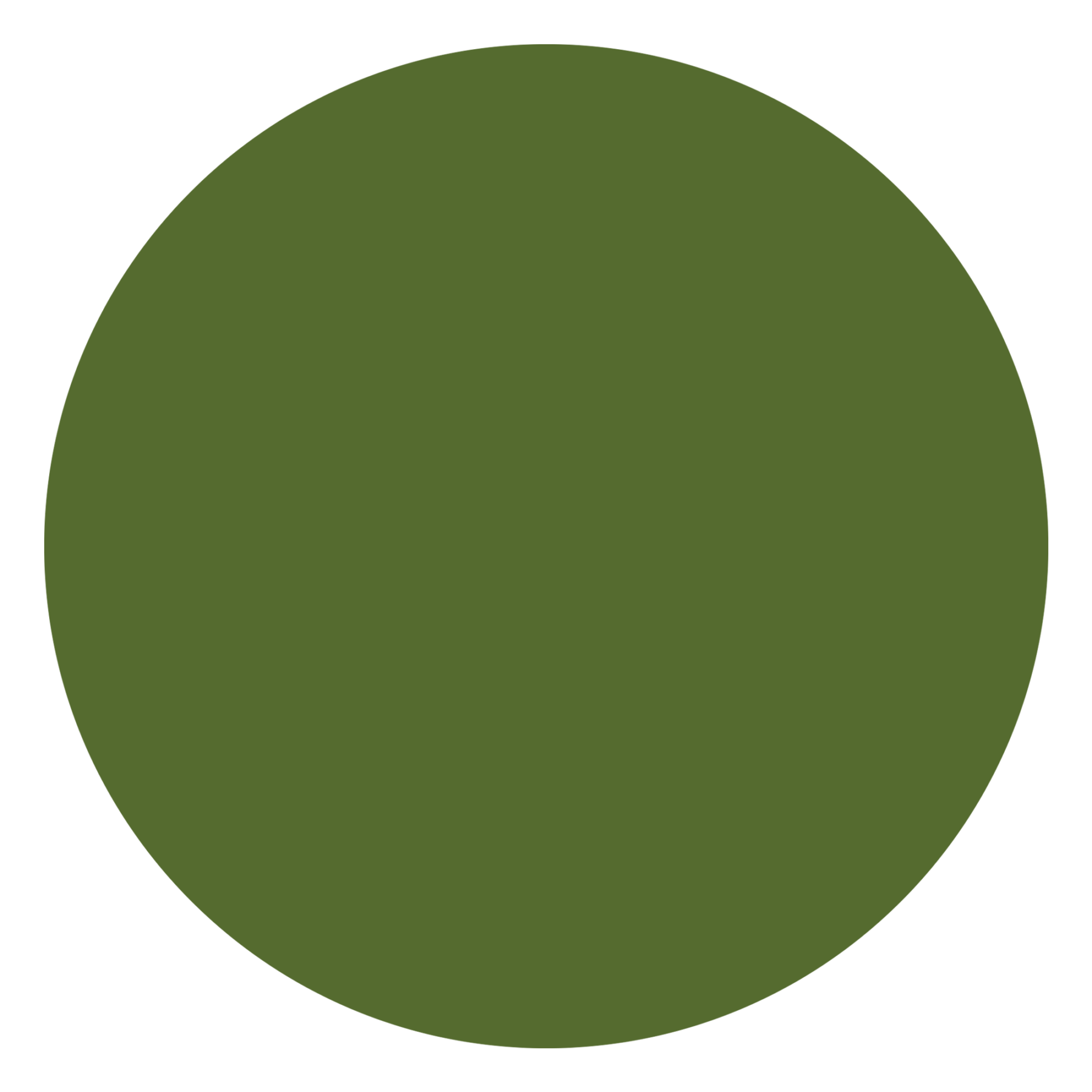 attribute-color-556B2F-dark-olive-green