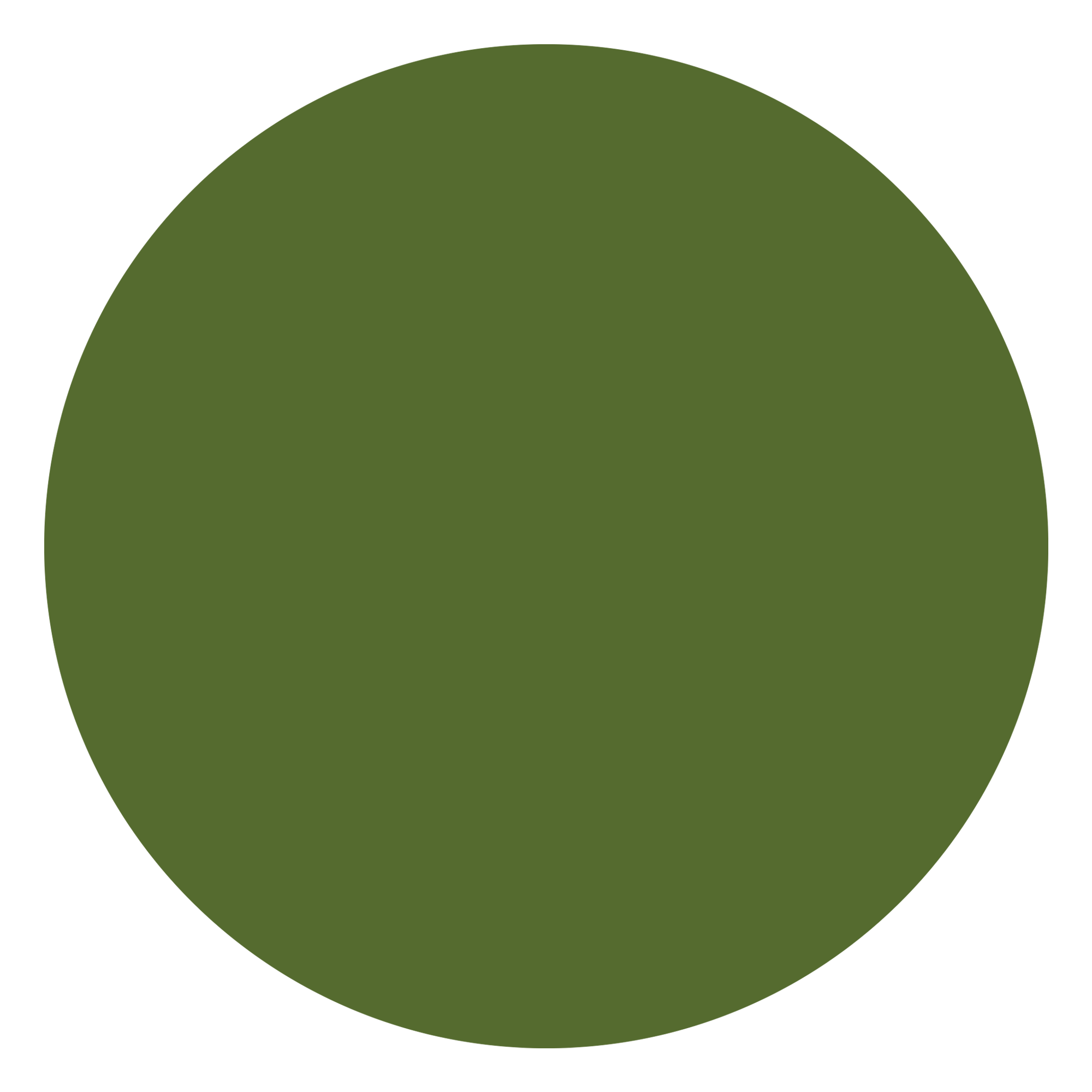 attribute-color-556B2F-dark-olive-green