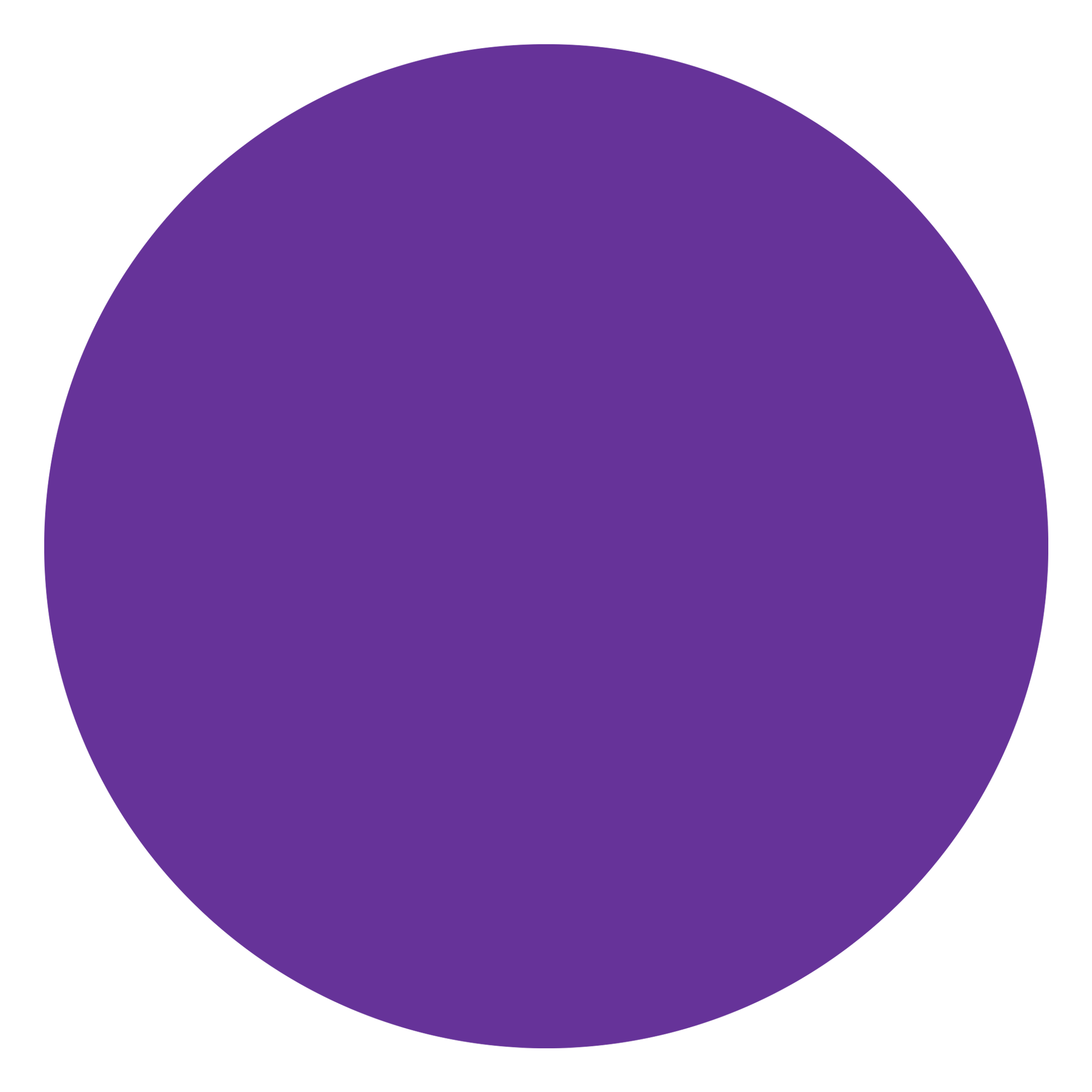 attribute-color-663399-rebecca-purple