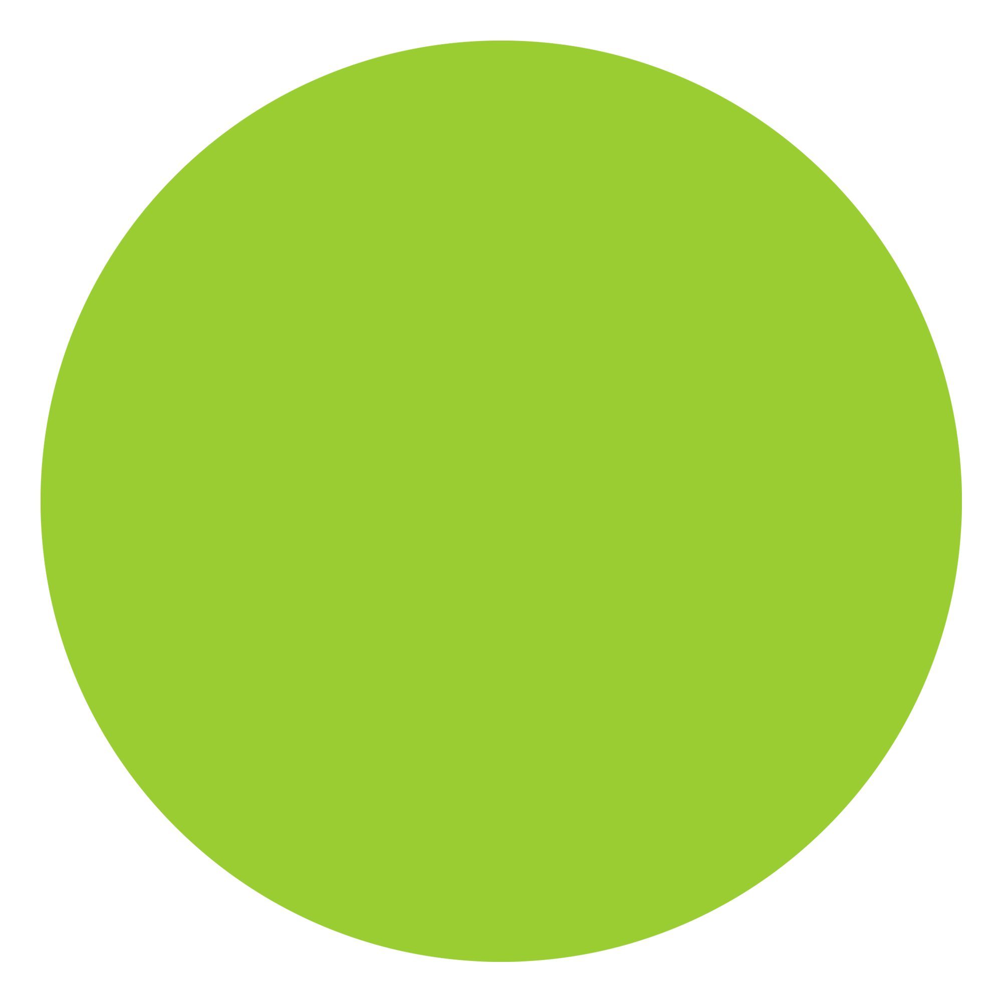 attribute-color-9ACD32-yellow-green