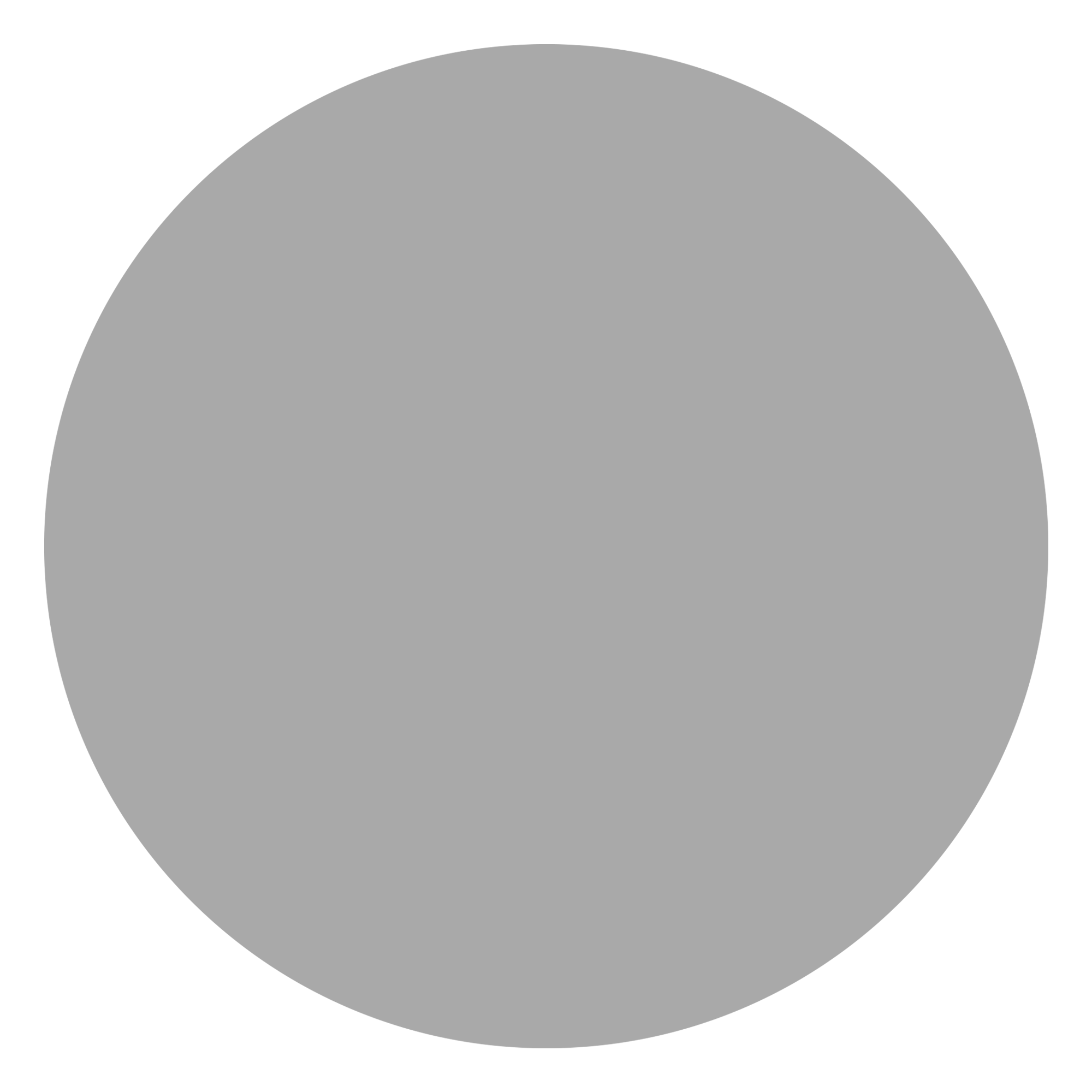 attribute-color-A9A9A9-dark-gray