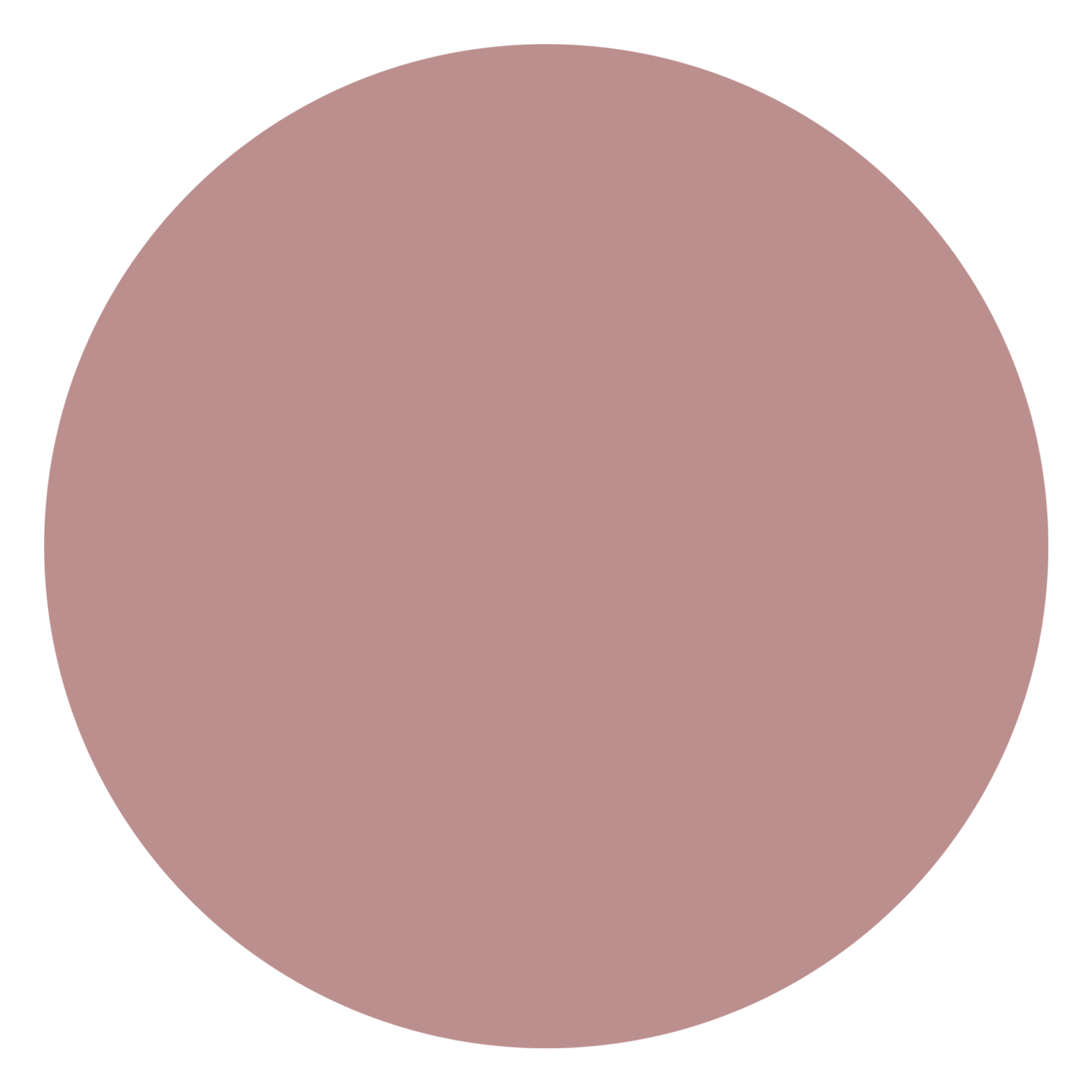 attribute-color-BC8F8F-rosy-brown