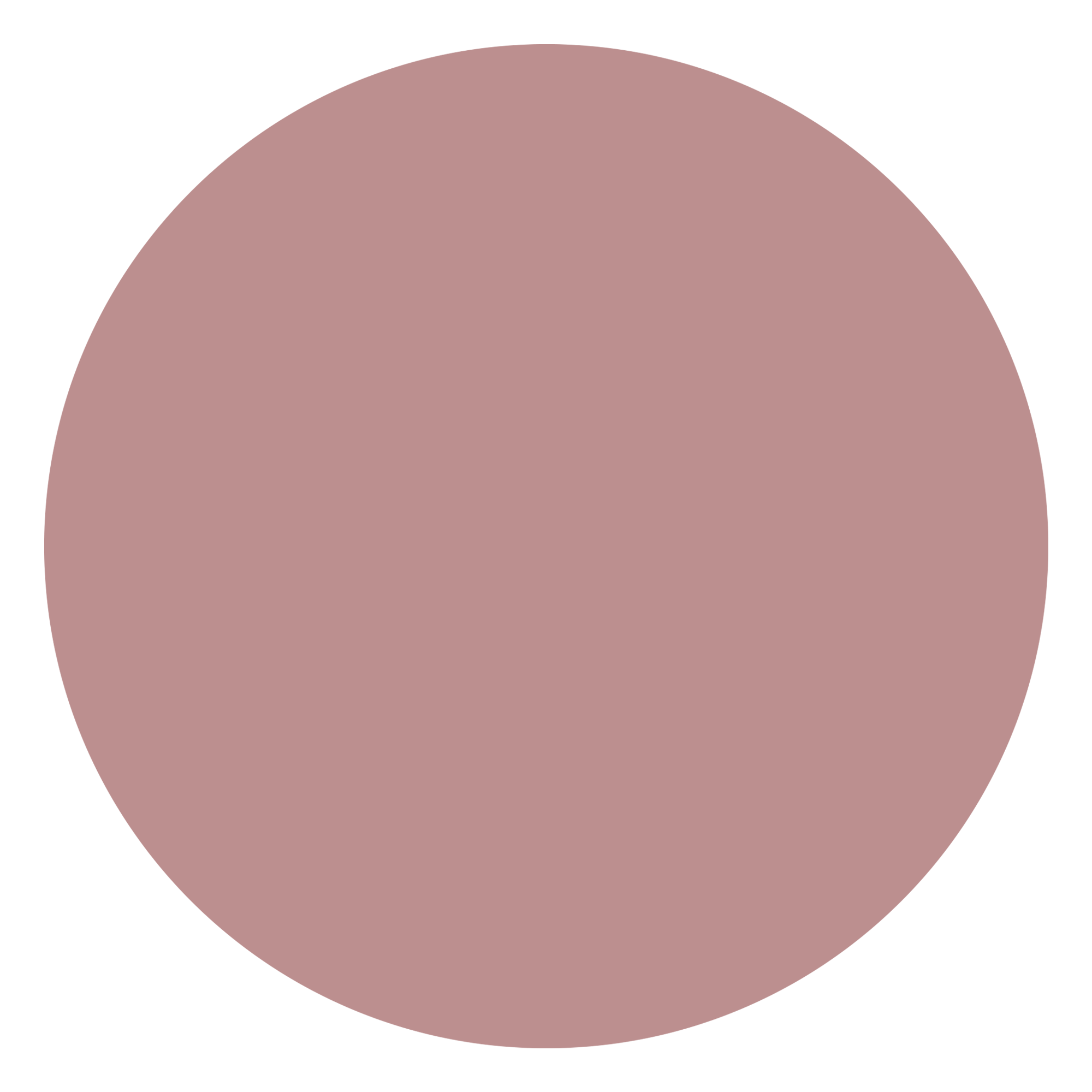 attribute-color-BC8F8F-rosy-brown