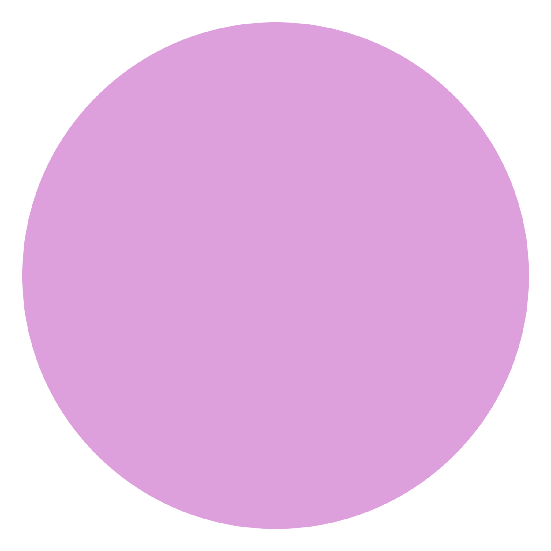 attribute-color-DDA0DD-plum