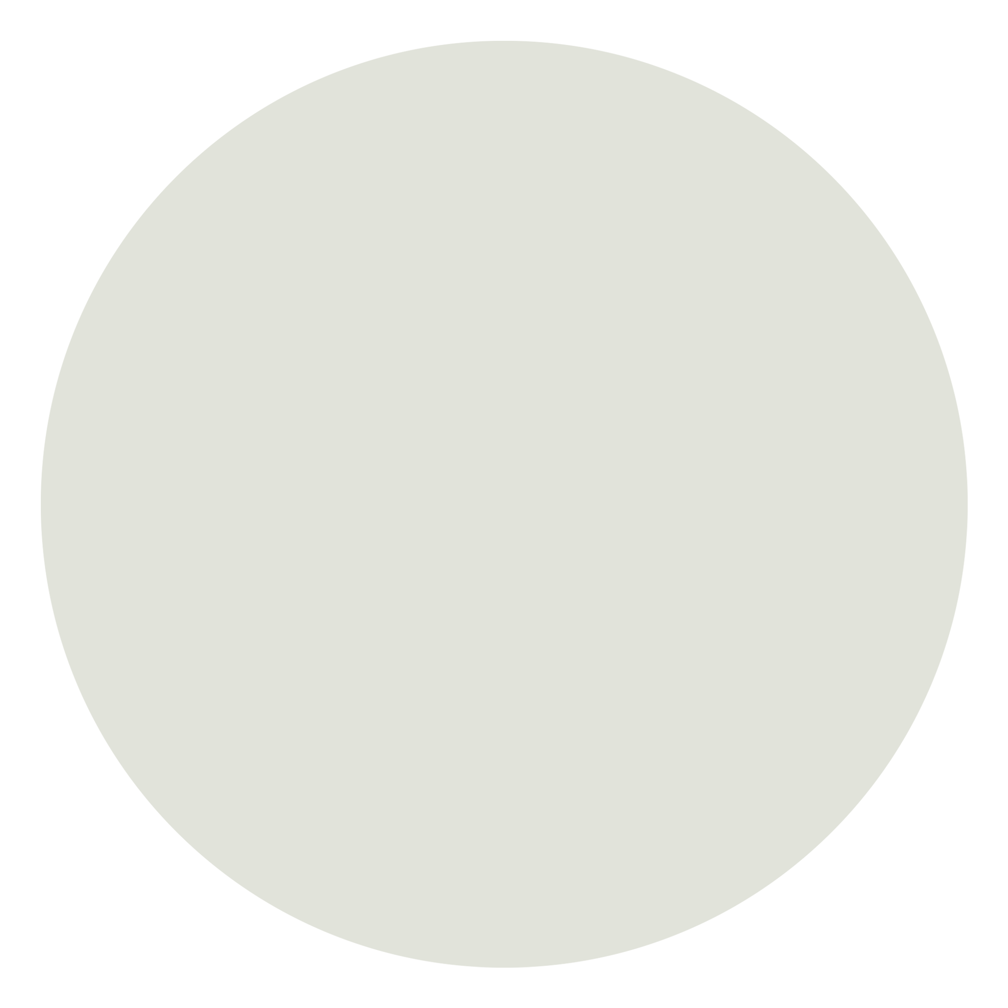 attribute-color-E1E3DA-pearl-white