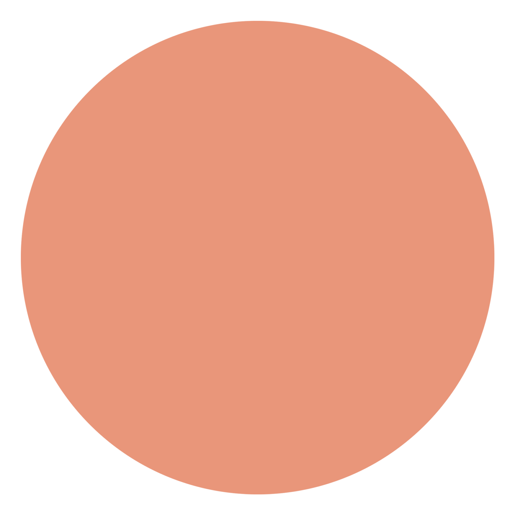 attribute-color-E9967A-dark-salmon