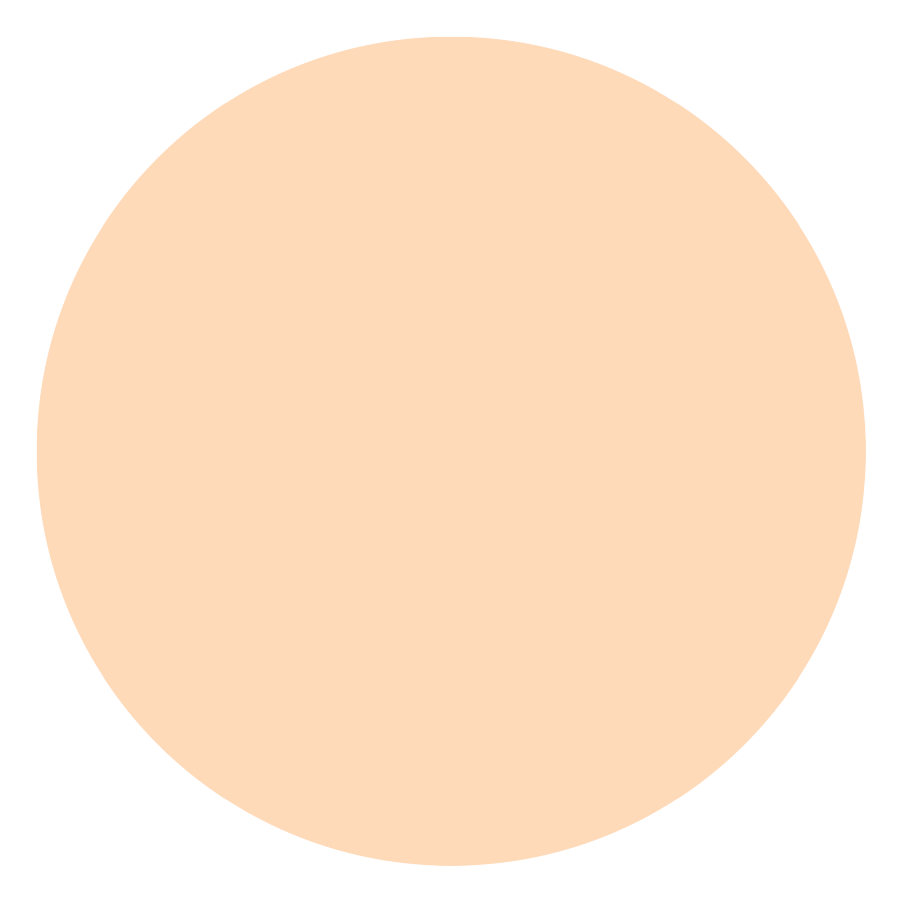 attribute-color-FFDAB9-peach-puff