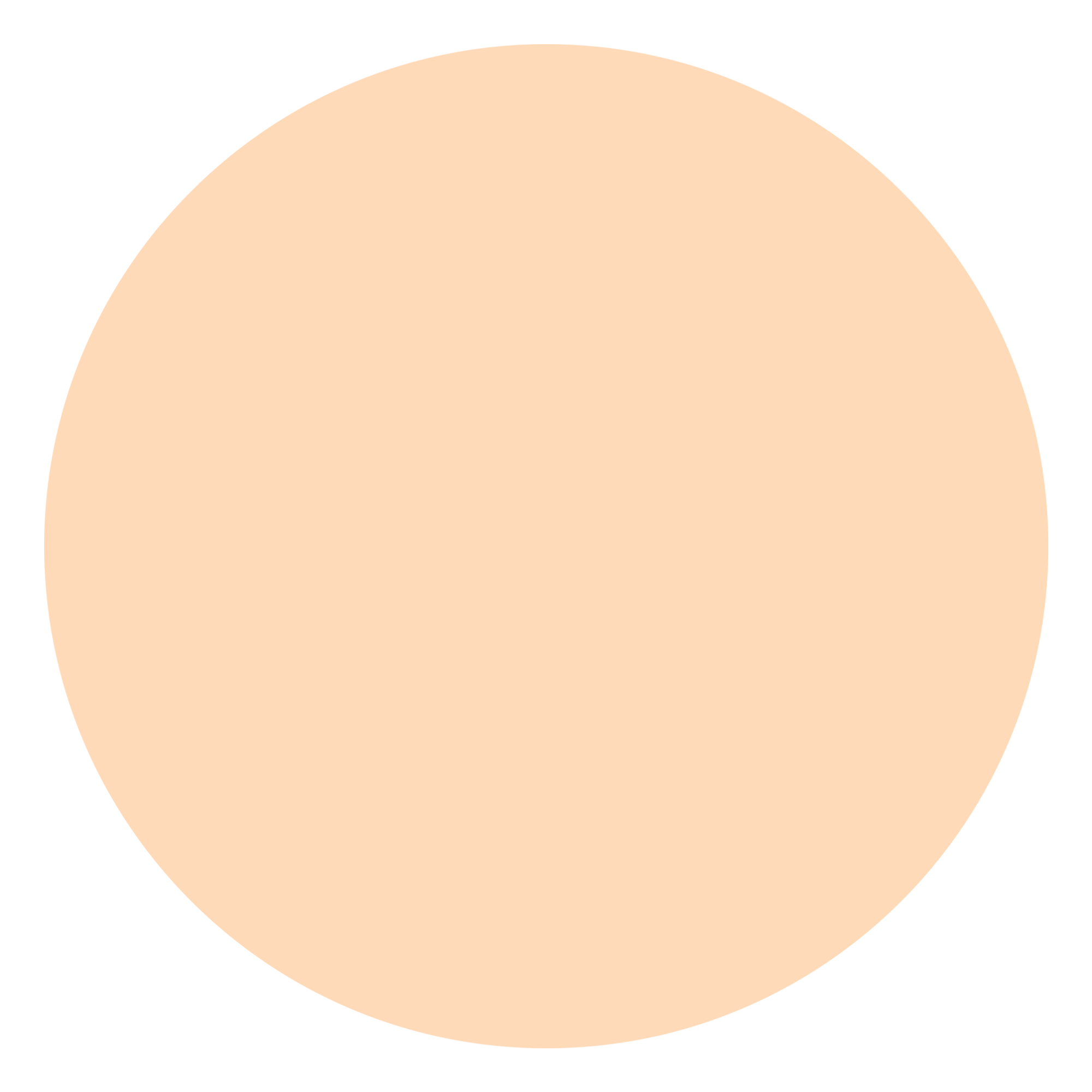attribute-color-FFDAB9-peach-puff