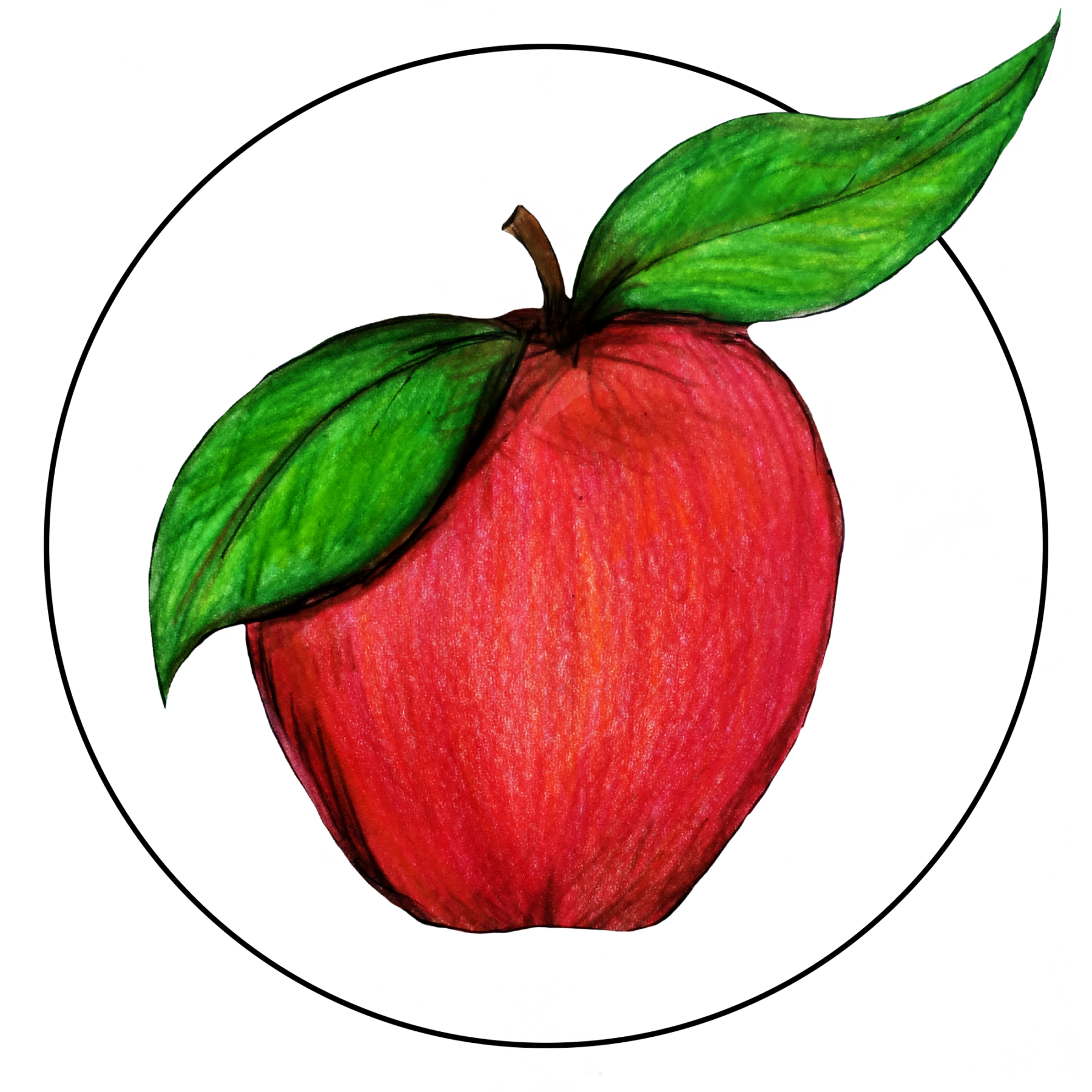 attribute-motif-apple