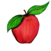 attribute-motif-apple-white