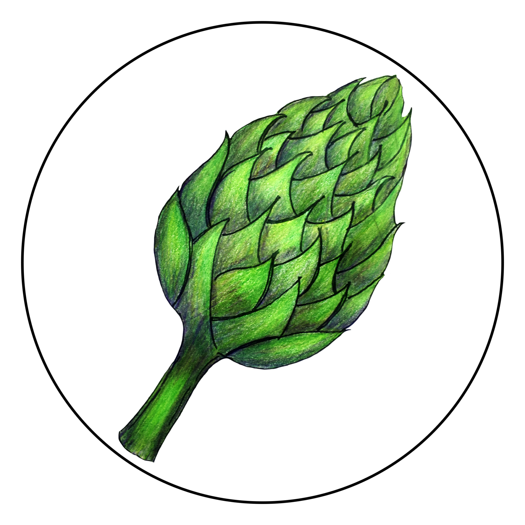 attribute-motif-artichoke