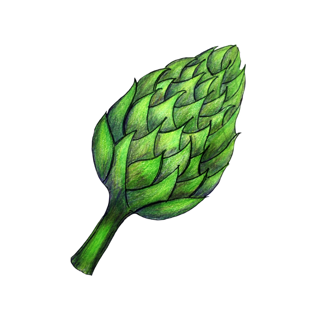attribute-motif-artichoke-white