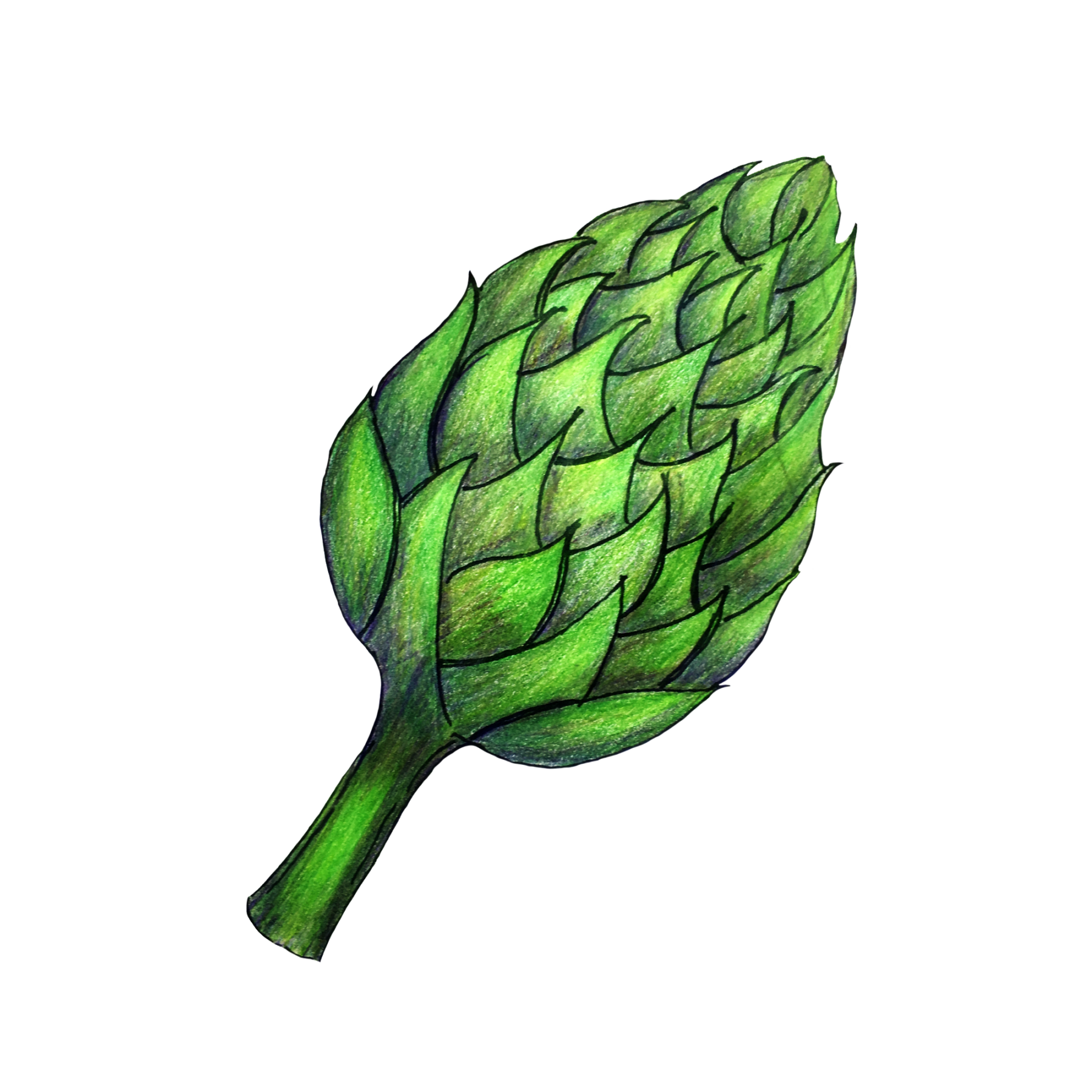 attribute-motif-artichoke-white