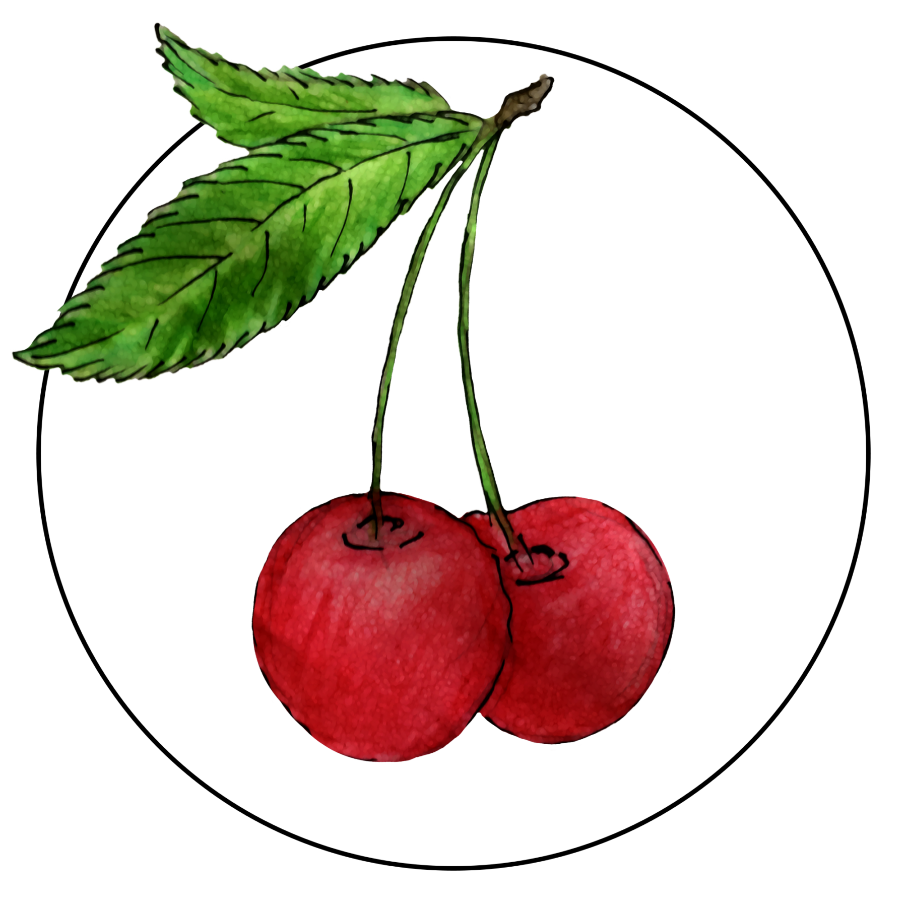 attribute-motif-cherries