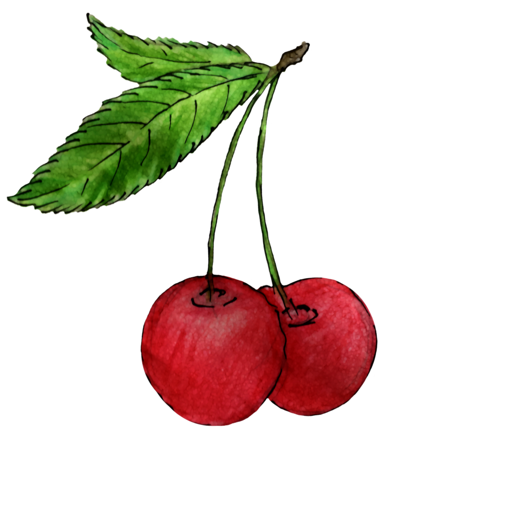 attribute-motif-cherries-white