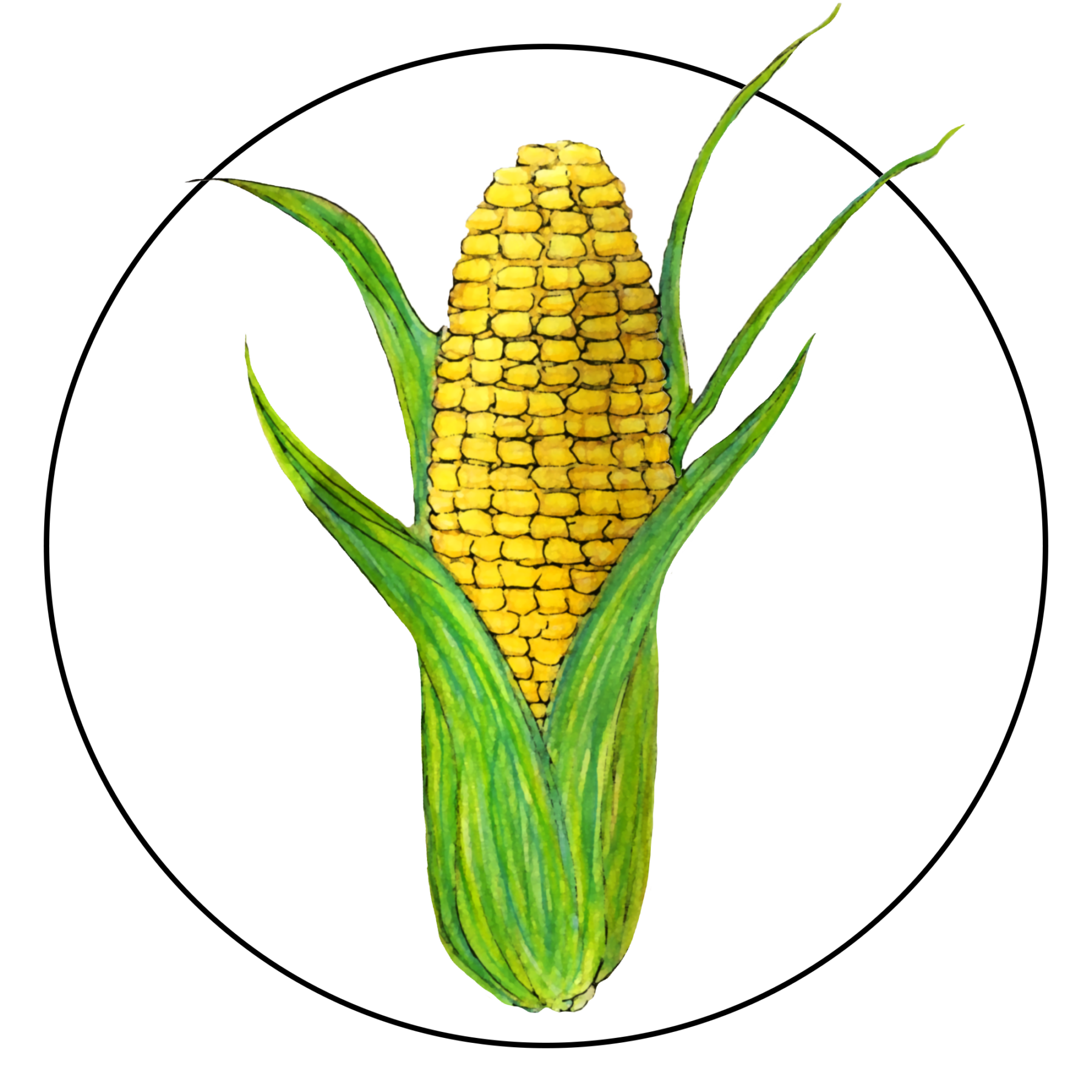 attribute-motif-corn