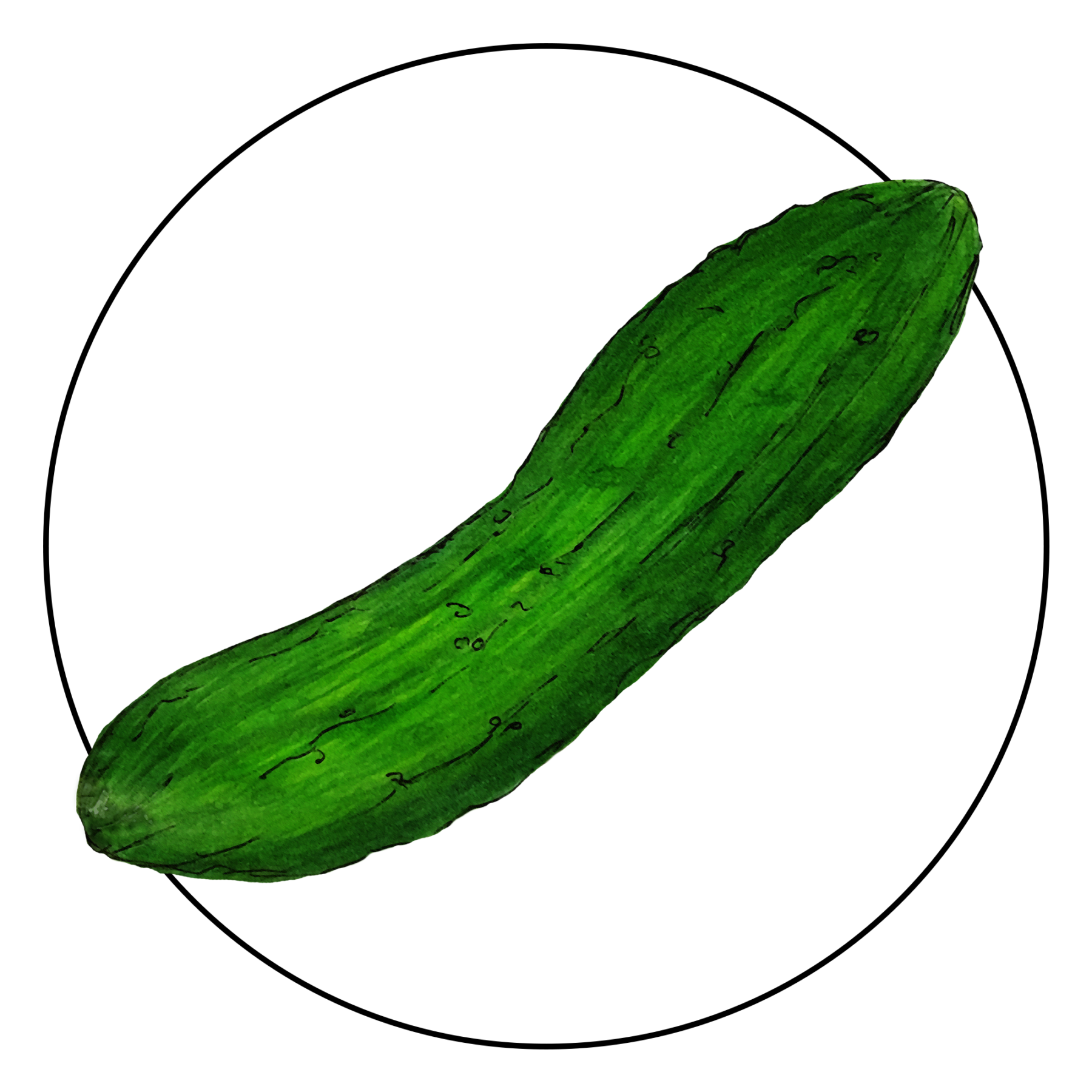 attribute-motif-cucumber