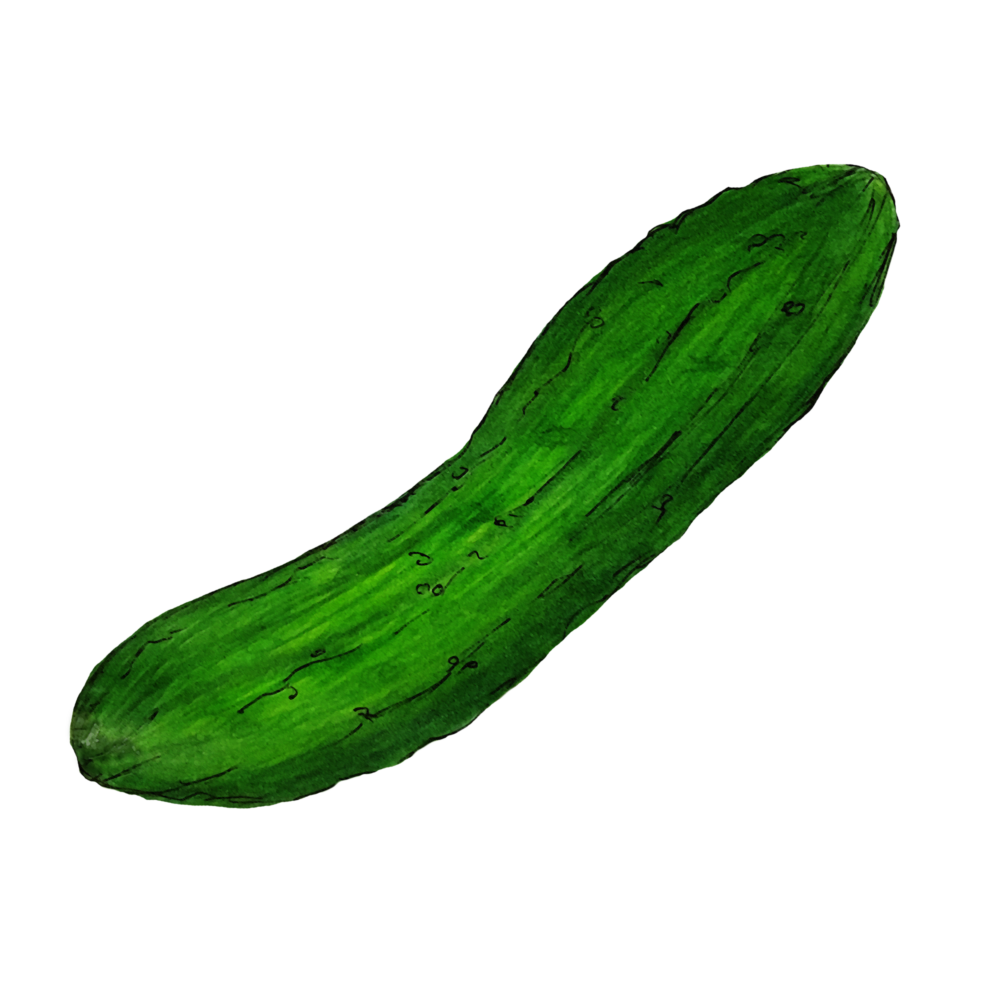 attribute-motif-cucumber-white