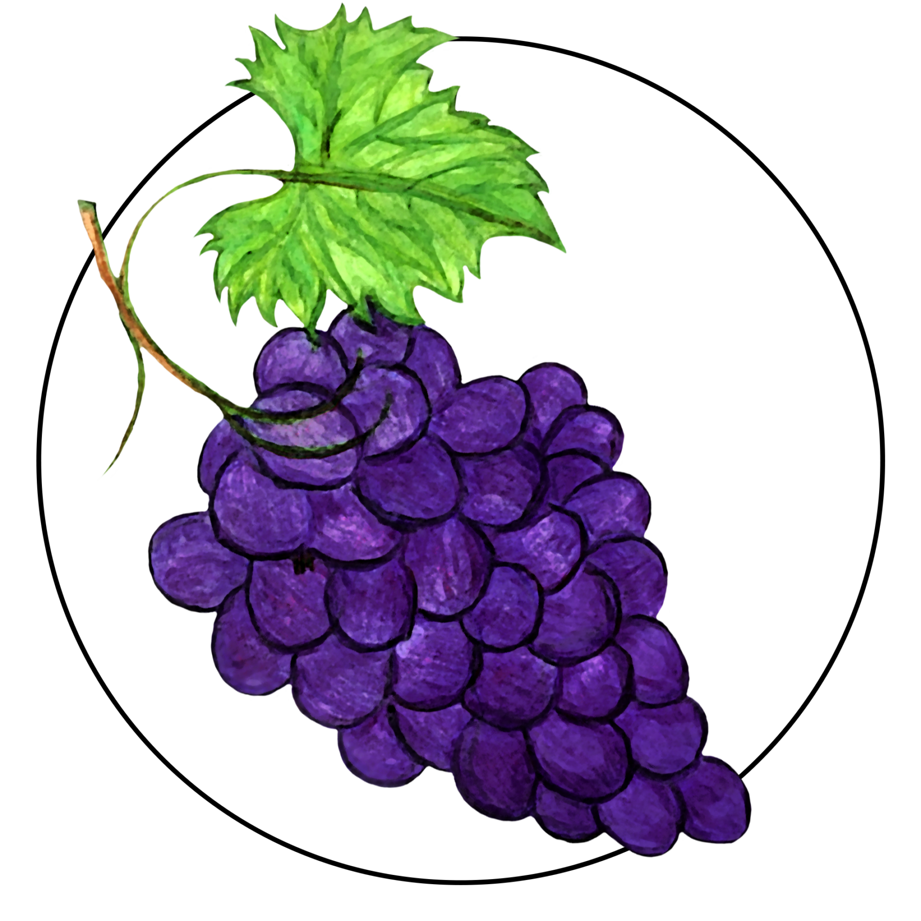 attribute-motif-grapes