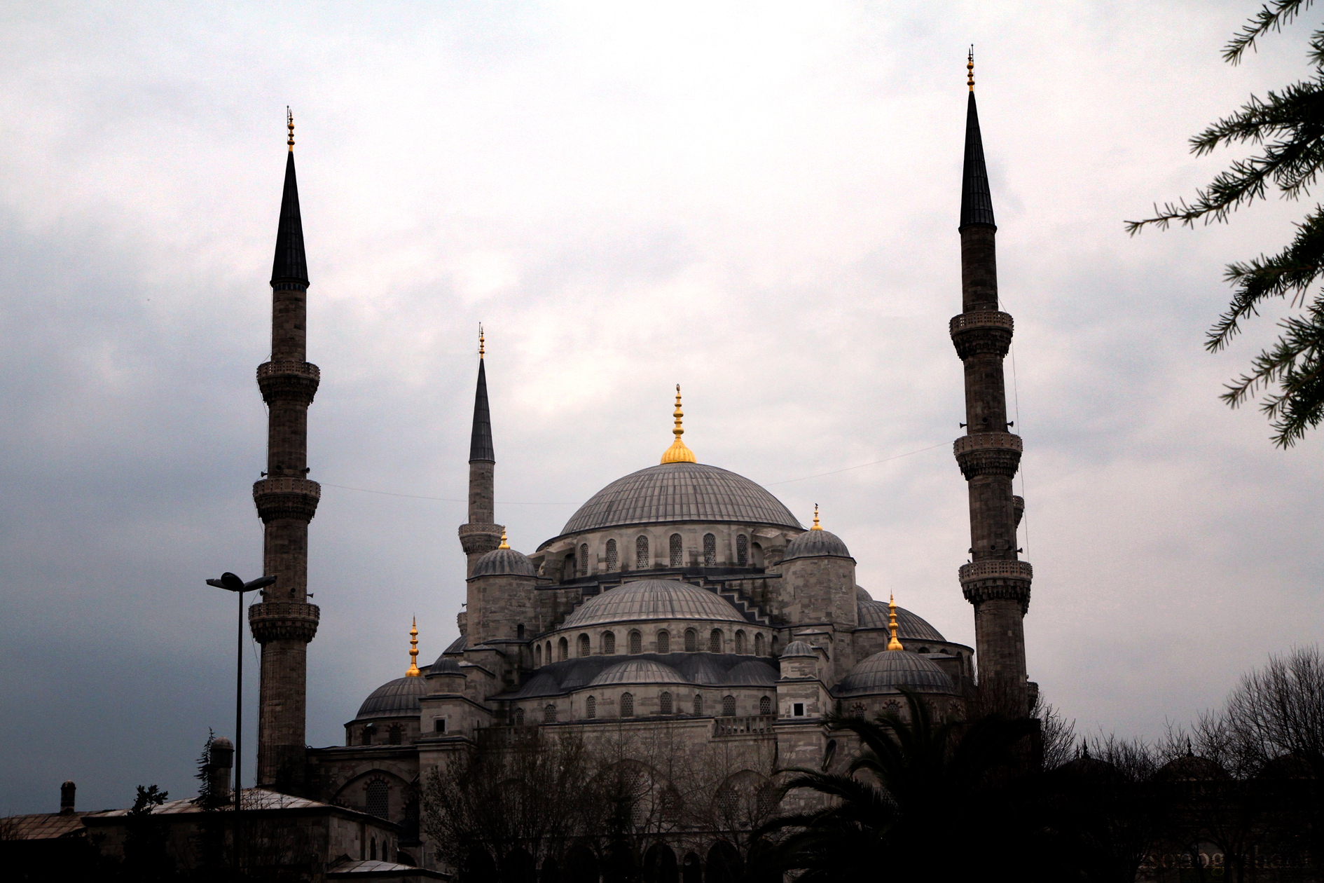 blue-mosque-0070