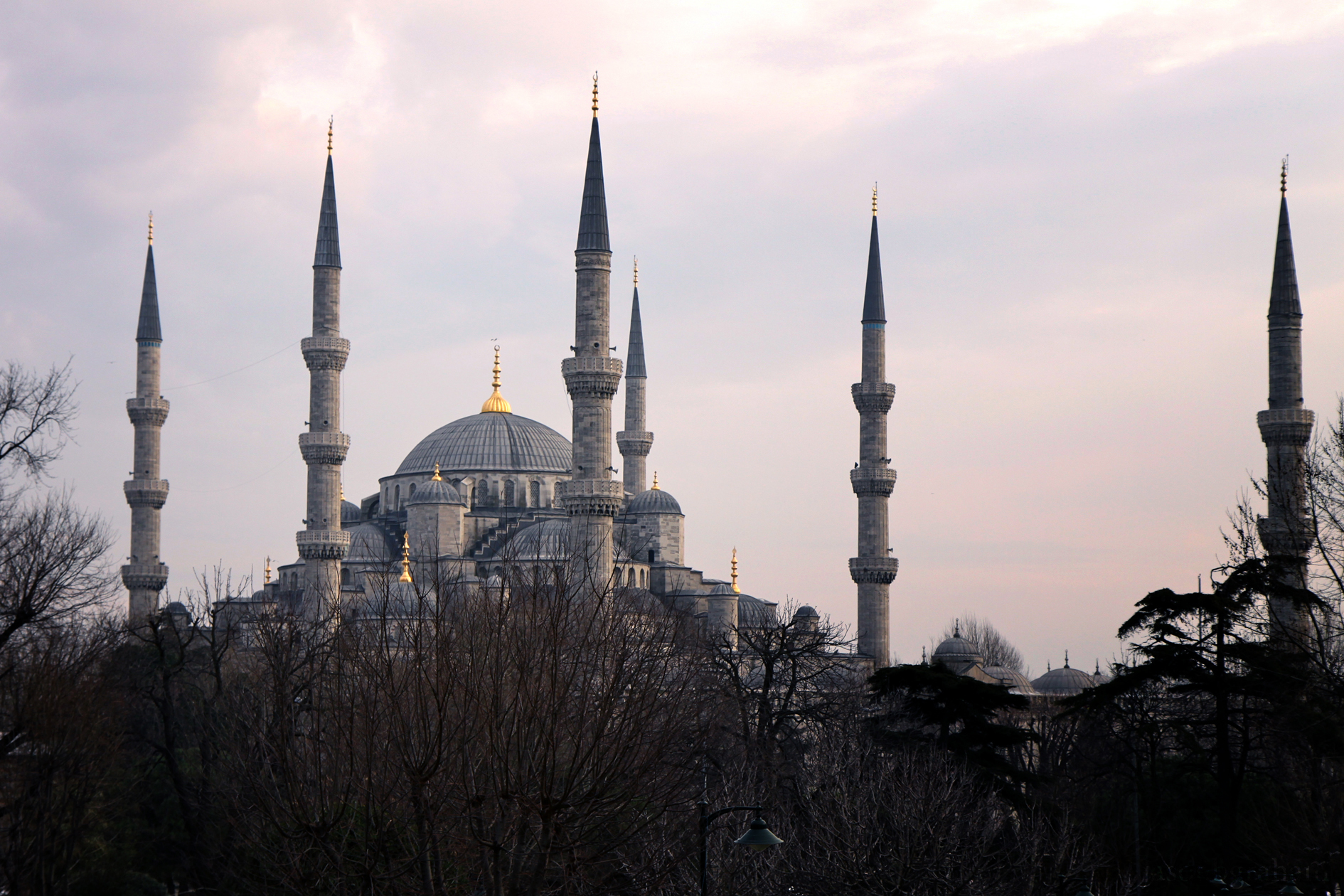 blue-mosque-8428