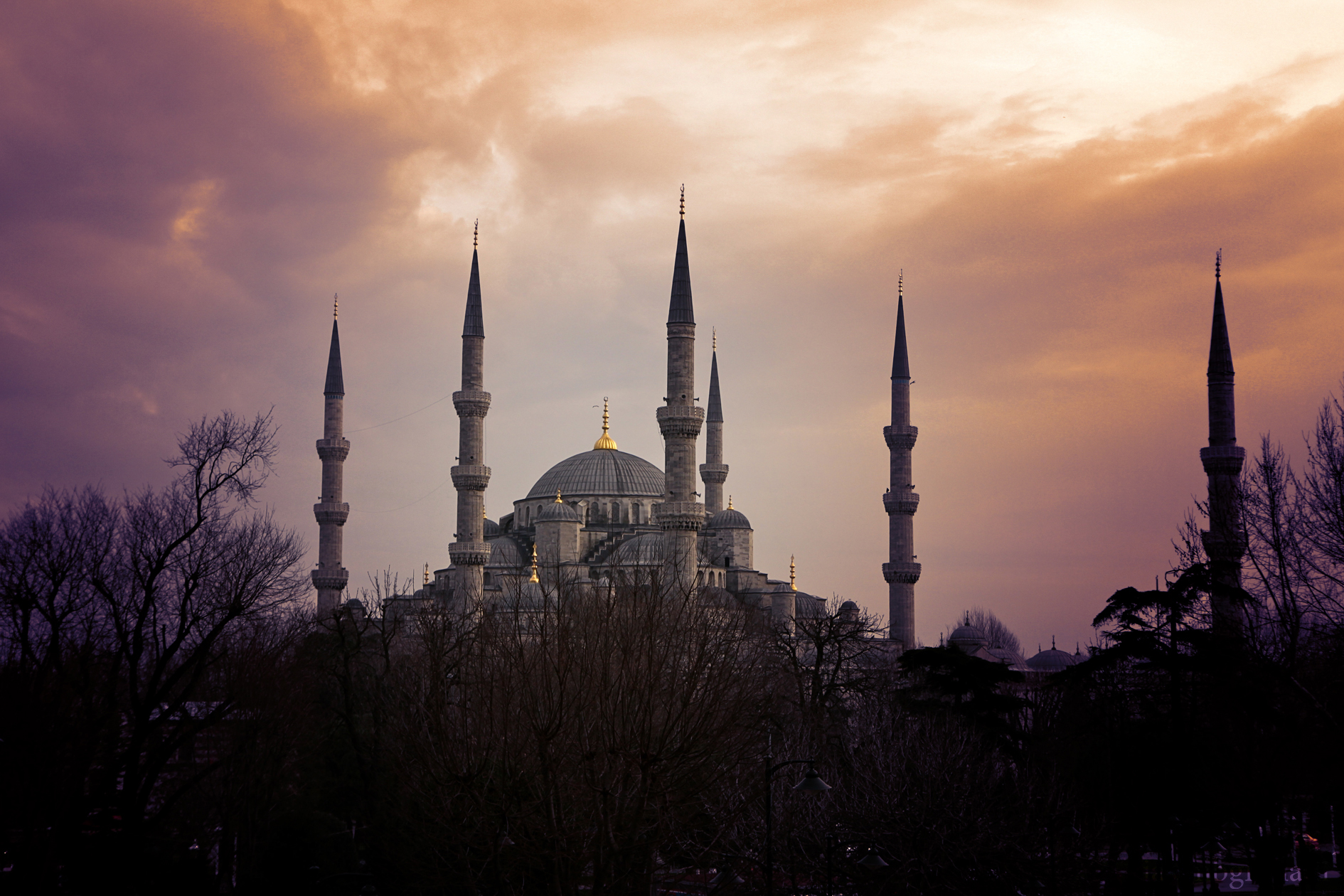 blue-mosque-8429