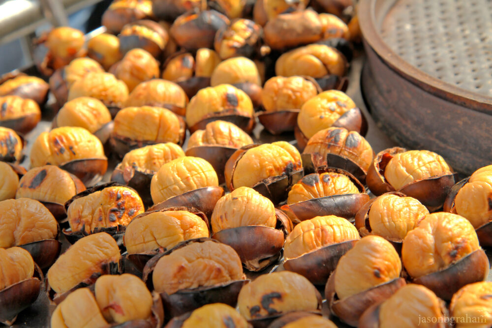 chestnuts-0165