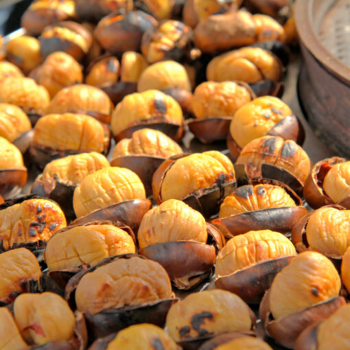 chestnuts-0165
