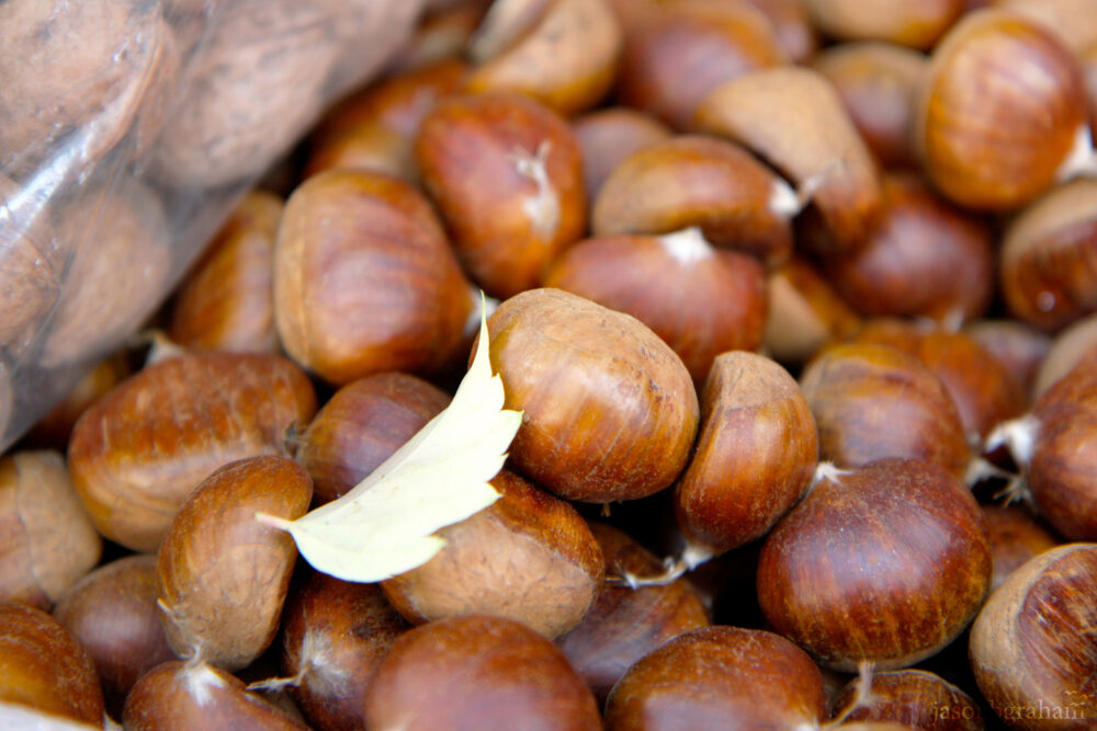 chestnuts-5811