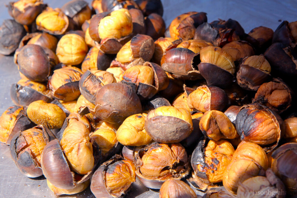 chestnuts-9204
