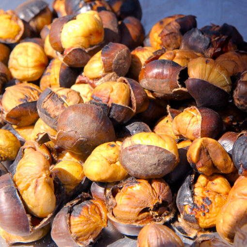 chestnuts-9204