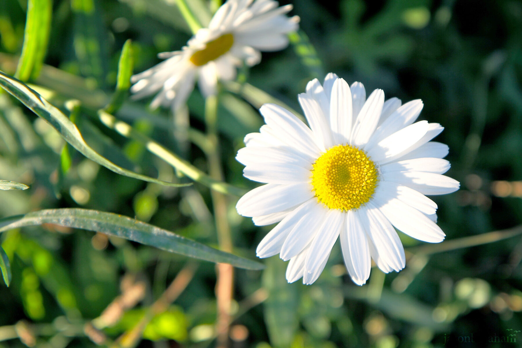 selimiye-turkey-0781