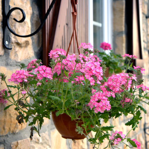 sile-turkey-9430
