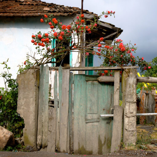 sile-turkey-9540