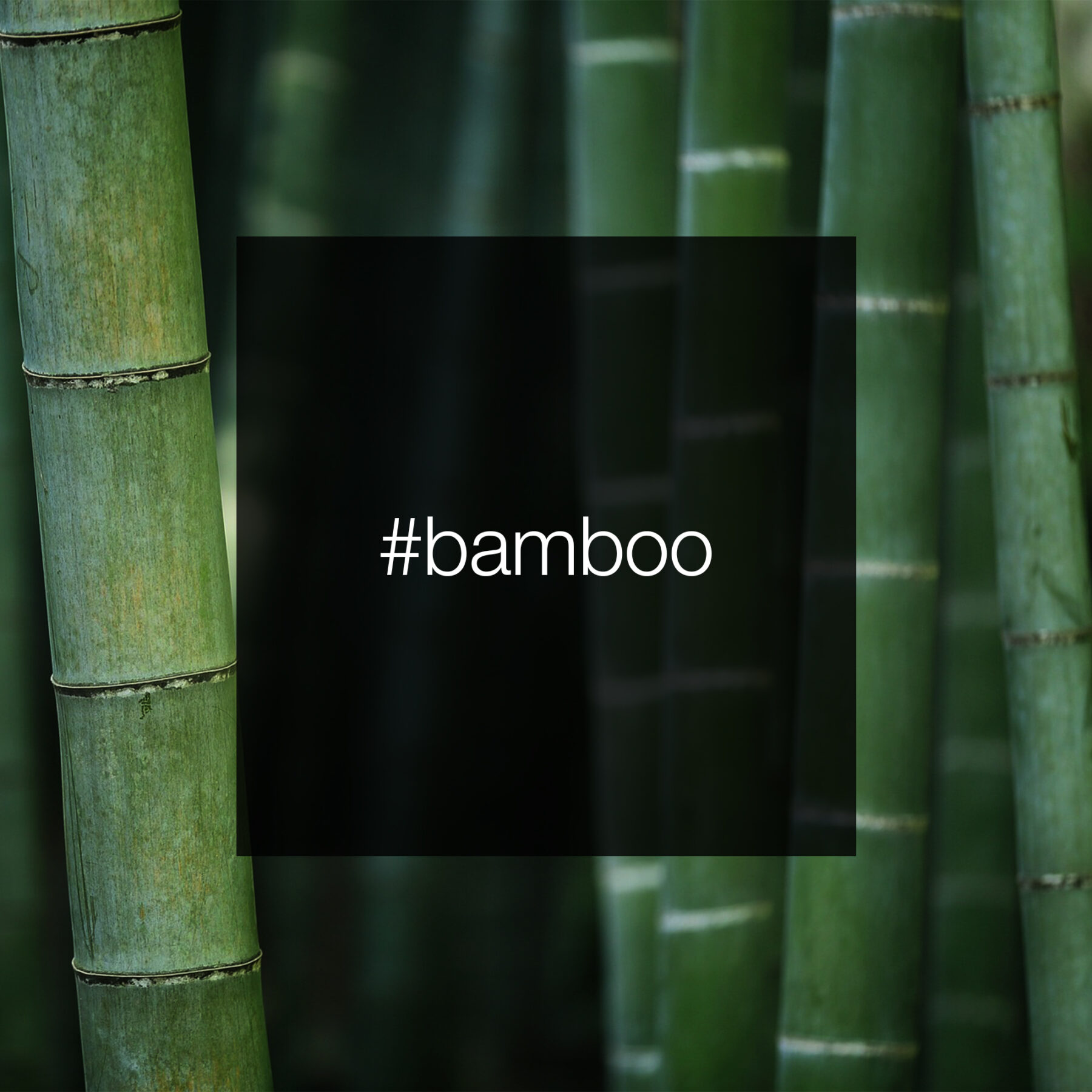 227464533-bamboo-pestemal-square-0001